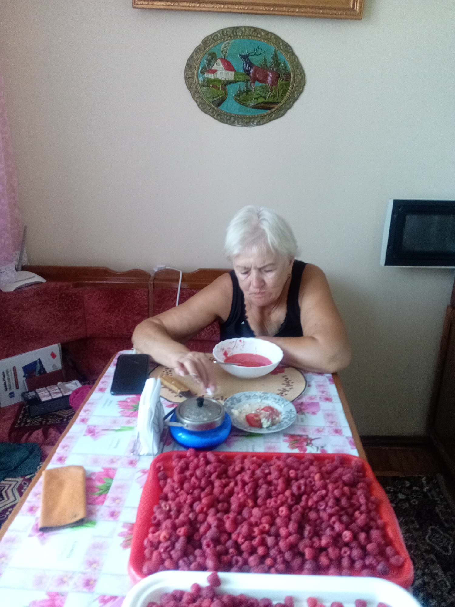 An elderly woman with white hair sits at a table covered with a pink and white floral tablecloth, looking down at a bowl of pink liquid. She wears a black tank top. In front of her is a white bowl with pink liquid and a small plate with a salad of tomatoes and what appears to be cheese or cottage cheese. To the right of the bowl is a blue and silver sugar bowl. A large red plastic container filled with raspberries is in the foreground, with another white container holding raspberries below it. To the left of the woman is a smartphone and a small orange cloth. A box of cigarettes and a mobile phone box are visible further to the left. In the background, a portion of a red upholstered couch is visible. Above the couch, a framed oval picture depicting a deer and a house is hanging on the wall. A microwave oven is mounted on the wall to the right. The scene appears to be indoors, likely a dining area or kitchen, in the city of Tiachiv, Ukraine.