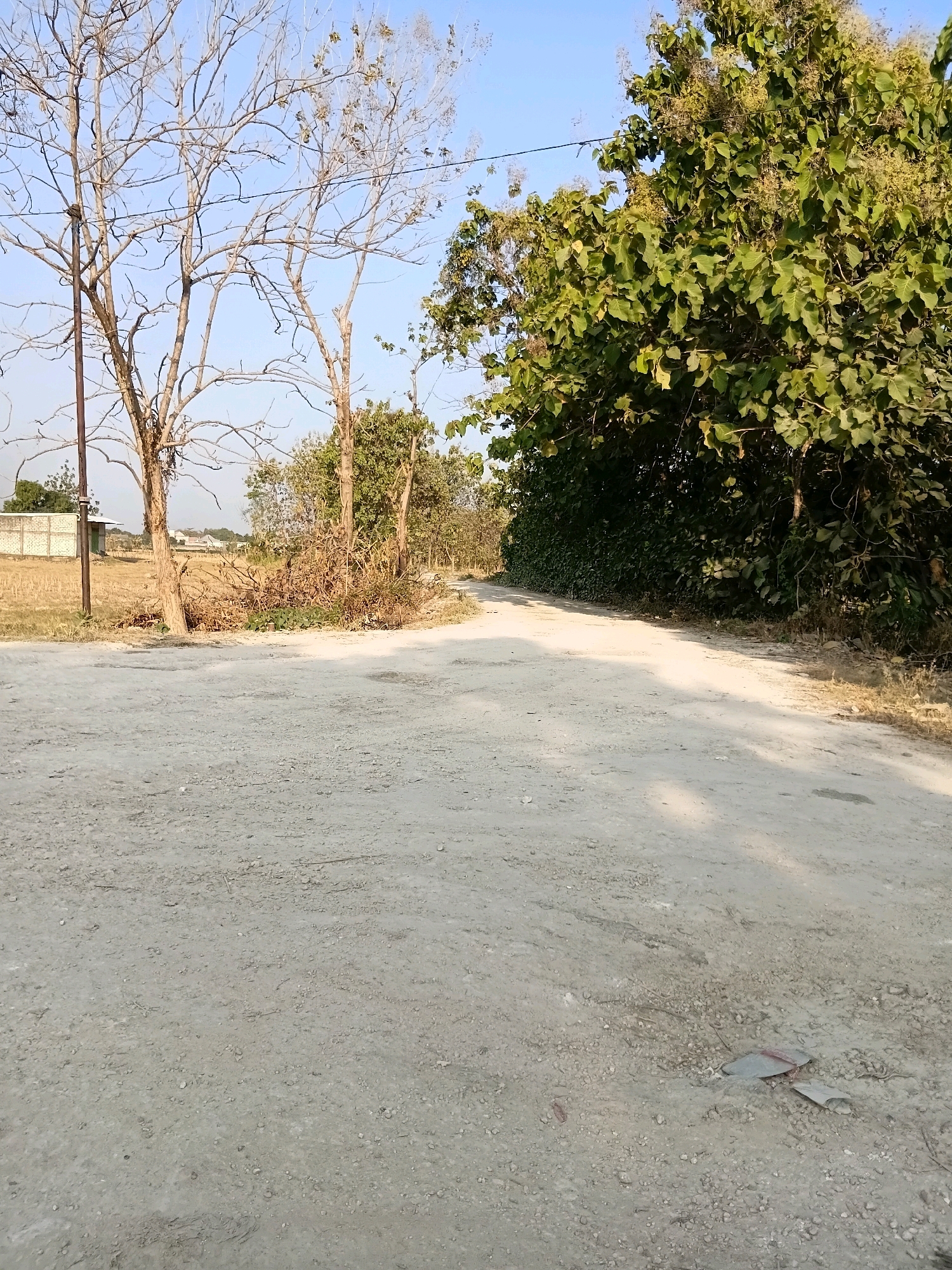 The image shows a dirt road in Rengel, Indonesia. The road is unpaved and appears to be a rural area. There are trees on either side of the road, and in the distance, there is a small building. The sky is clear and blue. The overall impression is of a quiet and peaceful setting.
