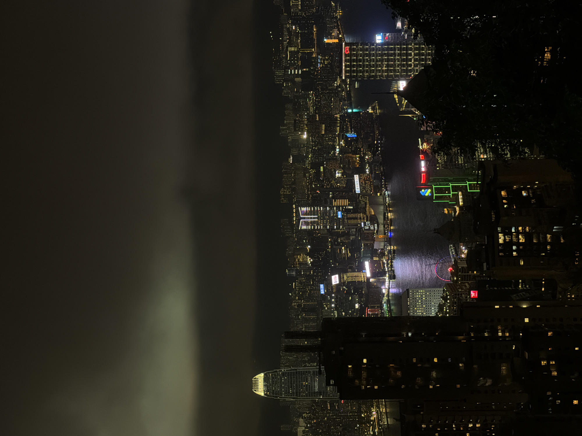 A nighttime photograph taken from a high vantage point overlooking Hong Kong, China, shows a city skyline bisected by a body of water. The left side of the image shows a thick fog obscuring a portion of the skyline. The right side of the photograph is filled with the city's lit buildings and neon signs, reflecting light onto the water. A Ferris wheel is visible on the right. Dark foliage is present in the right upper corner. The photograph is rotated 90 degrees clockwise.