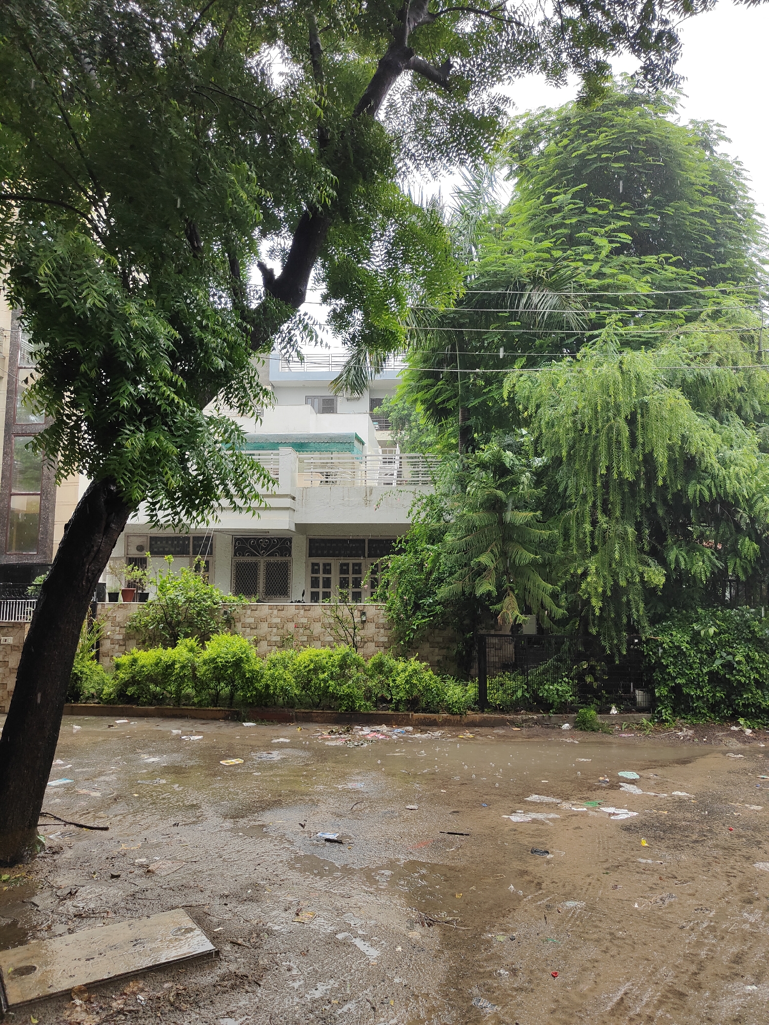 This is a photograph of a street scene in Gurgaon, India, during a light rain shower. The foreground shows a flooded street covered in puddles and debris, including plastic bags, paper, and other litter. A large, dark tree trunk dominates the left side of the frame, with its branches extending upwards and obscuring the sky. Behind the tree, a two-story building with white walls and balconies is visible, surrounded by lush green trees and bushes. The building appears to be a residential property. The overall impression is one of a slightly neglected urban environment during inclement weather.