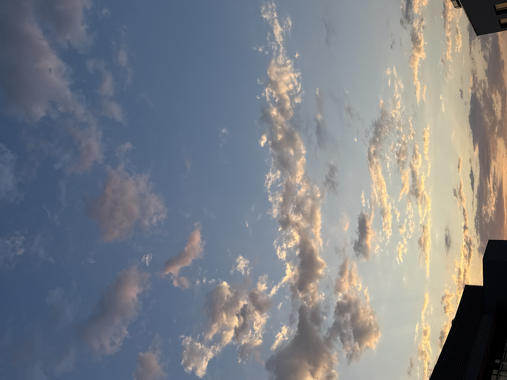 The image depicts a sky with scattered clouds at sunset, casting warm hues of orange and yellow on their undersides, against a backdrop of a clear blue sky. In the foreground, the dark silhouettes of two modern buildings frame the lower part of the scene, suggesting an urban setting. The building on the left has a dark, textured facade, while the building on the right appears to be lighter in color and has visible windows. The lighting indicates it is either dawn or dusk, with the sun's rays creating a gentle gradient in the sky. The scene is devoid of any people or animals. The location is identified as the city of Pleven, Bulgaria, though no specific landmarks are identifiable within the image itself to confirm this.