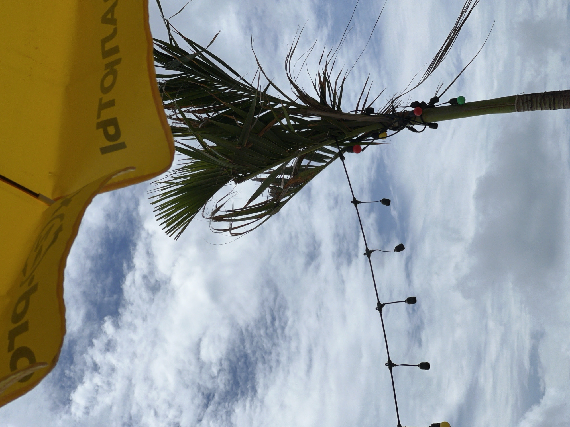 A yellow umbrella is positioned in the upper portion of the frame, angled downwards and to the right. The umbrella has dark lettering visible on its surface. Below the umbrella, a palm tree trunk extends vertically upwards, with green fronds fanning out from its top. A string of decorative lights is strung across the frame from left to right, with several bulbs hanging downwards. Some of these bulbs are illuminated in red, yellow, and green, and others are dark. The background is a cloudy sky. The image appears to be taken outdoors.