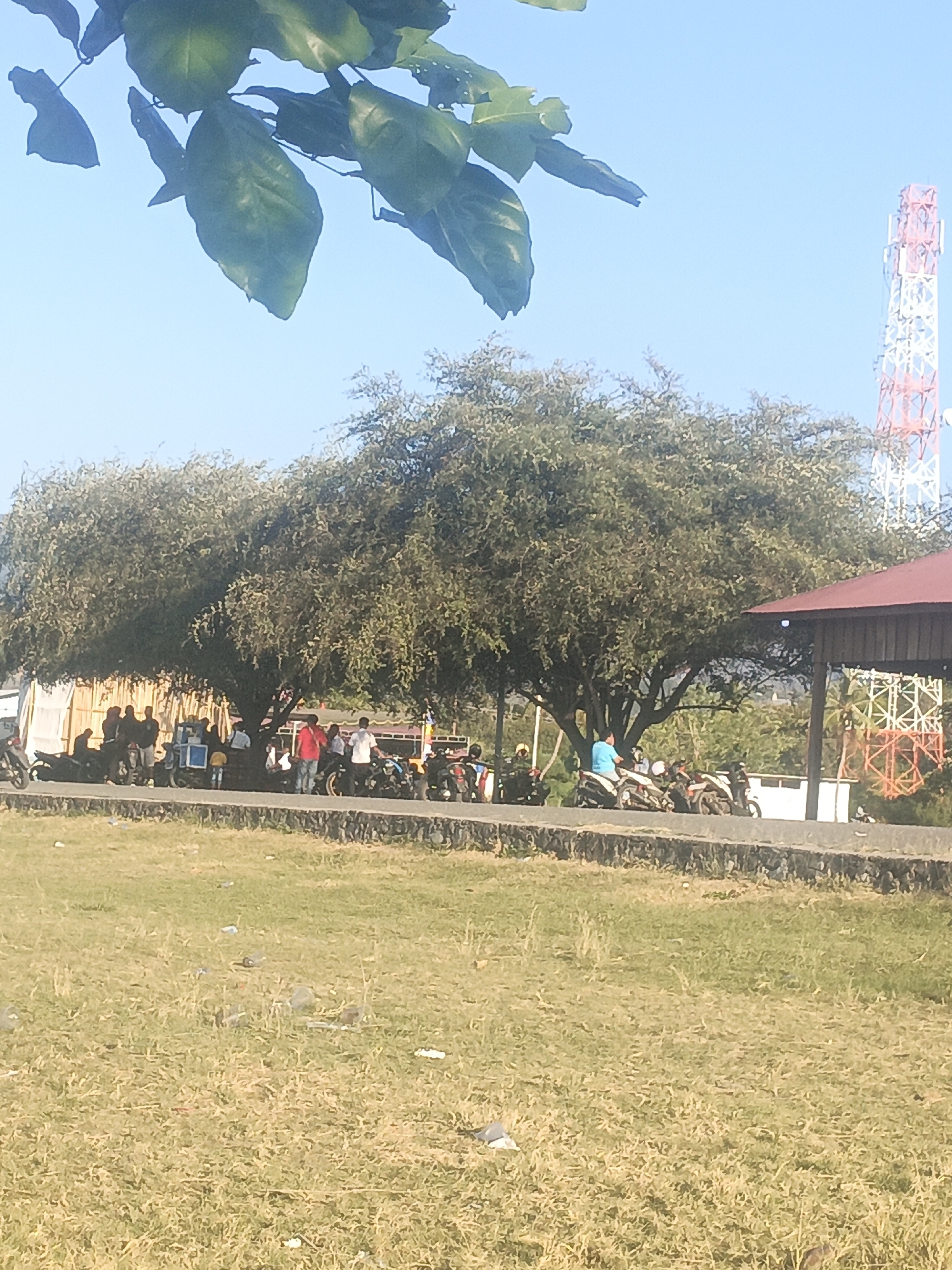 The image captures an outdoor scene under a clear blue sky, likely in Lewoleba, Indonesia, evidenced by the presence of a cellular tower characteristic of the region. In the foreground, dry, patchy grass is scattered with some debris. A dark, paved road runs horizontally across the mid-ground, bordered by a low, rough-hewn stone wall on the foreground side and a strip of pavement on the background side.
On the background side of the road, a large, mature tree with dense, green foliage dominates the scene, providing shade. Beneath the tree, a group of approximately ten to twelve individuals are gathered. Some are standing, while others appear to be seated or leaning. They are casually dressed. Several motorcycles are parked in front of and around the group, suggesting a gathering or a temporary stop. A small, open-sided structure with a dark red roof is visible to the right of the tree, further back. Behind the tree and structure, a lattice-like metal tower, likely a communication tower, is visible in the distance, painted with red and white bands.
Several motorcycles are also parked along the road in front of the group under the tree. One person in a blue shirt is seen riding a motorcycle on the paved area. The overall impression is a casual daytime gathering in a semi-urban or roadside environment.