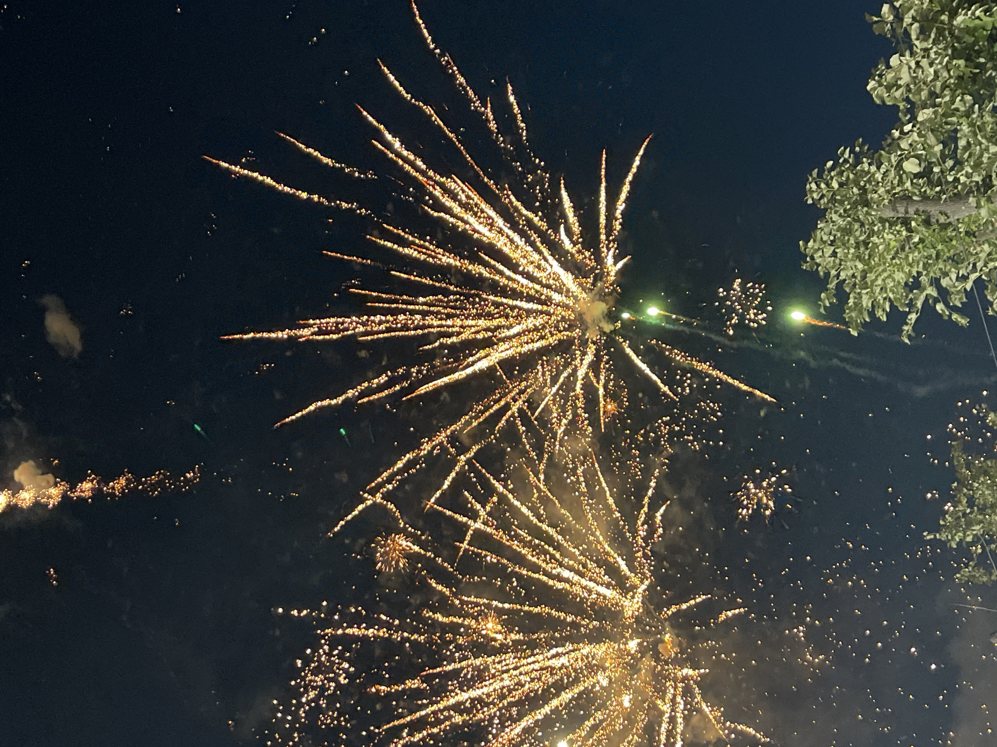 A nighttime outdoor scene captures a fireworks display above the city of Karlovo, Bulgaria. Several bursts of golden fireworks illuminate the dark sky, with streaks of light radiating outwards. A few smaller, scattered sparks are also visible. In the lower right corner of the image, the top branches of a leafy green tree, partially obscuring a wooden post, are visible. The sky is a deep, dark blue, indicating it is nighttime. There are no people or specific landmarks of Karlovo visible in this frame.
