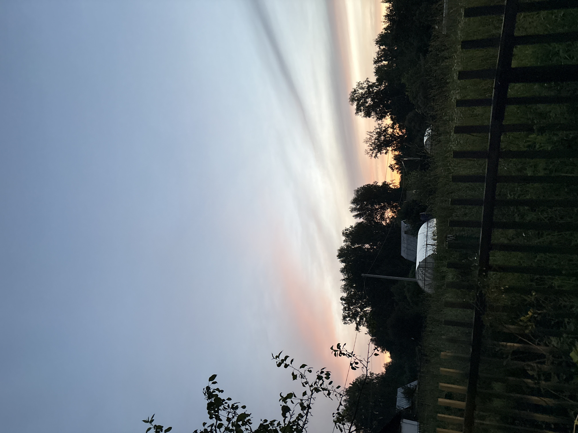 A rural landscape is depicted at dusk in Dubrovino, Russia. The sky is a gradient of pale blue to soft pink and orange hues, with streaks of darker gray clouds. In the foreground, a dark wooden fence is visible, partially obscured by tall, green grass and vegetation. Behind the fence, a line of dark green trees forms a dense treeline. Within the treeline, several structures are partially visible, including what appears to be a greenhouse with a white, arched covering and other smaller buildings with sloped roofs. The lighting suggests either early morning or late evening. A tree branch with green leaves extends from the left side of the frame into the upper portion of the image.