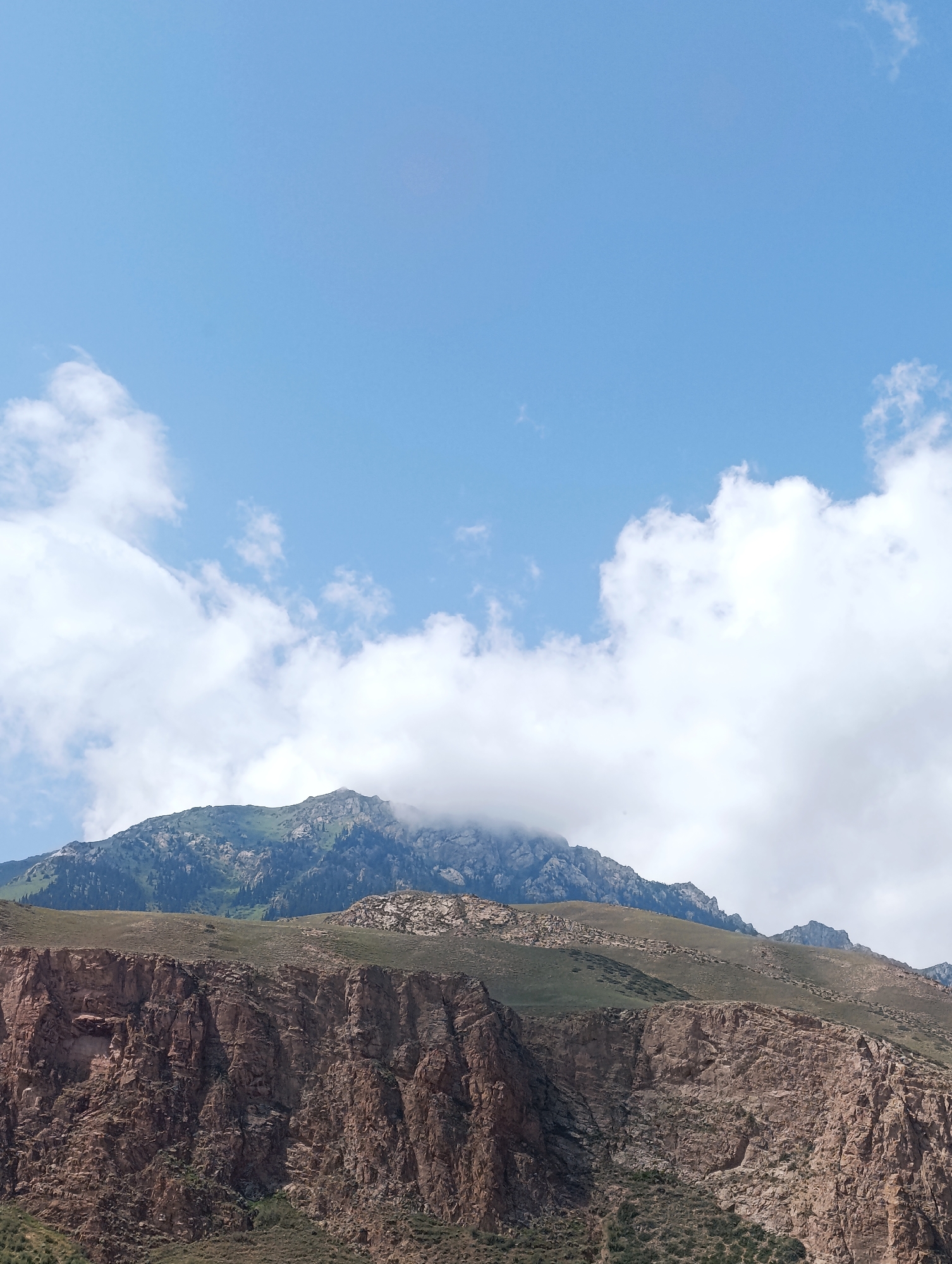 The image shows a mountain range under a bright blue sky with scattered white clouds. The foreground features a steep, rugged cliff face composed of reddish-brown rock with visible striations and textures. Above this cliff, the landscape transitions to gentler, grassy slopes dotted with small rocks and sparse vegetation. Further in the background, a larger mountain peak is visible, its upper portion shrouded in white clouds, with patches of green vegetation and dark trees on its slopes. The overall scene depicts a natural, mountainous environment, likely in the vicinity of Naryn City, Kyrgyzstan, characterized by its arid, rocky terrain and expansive sky.