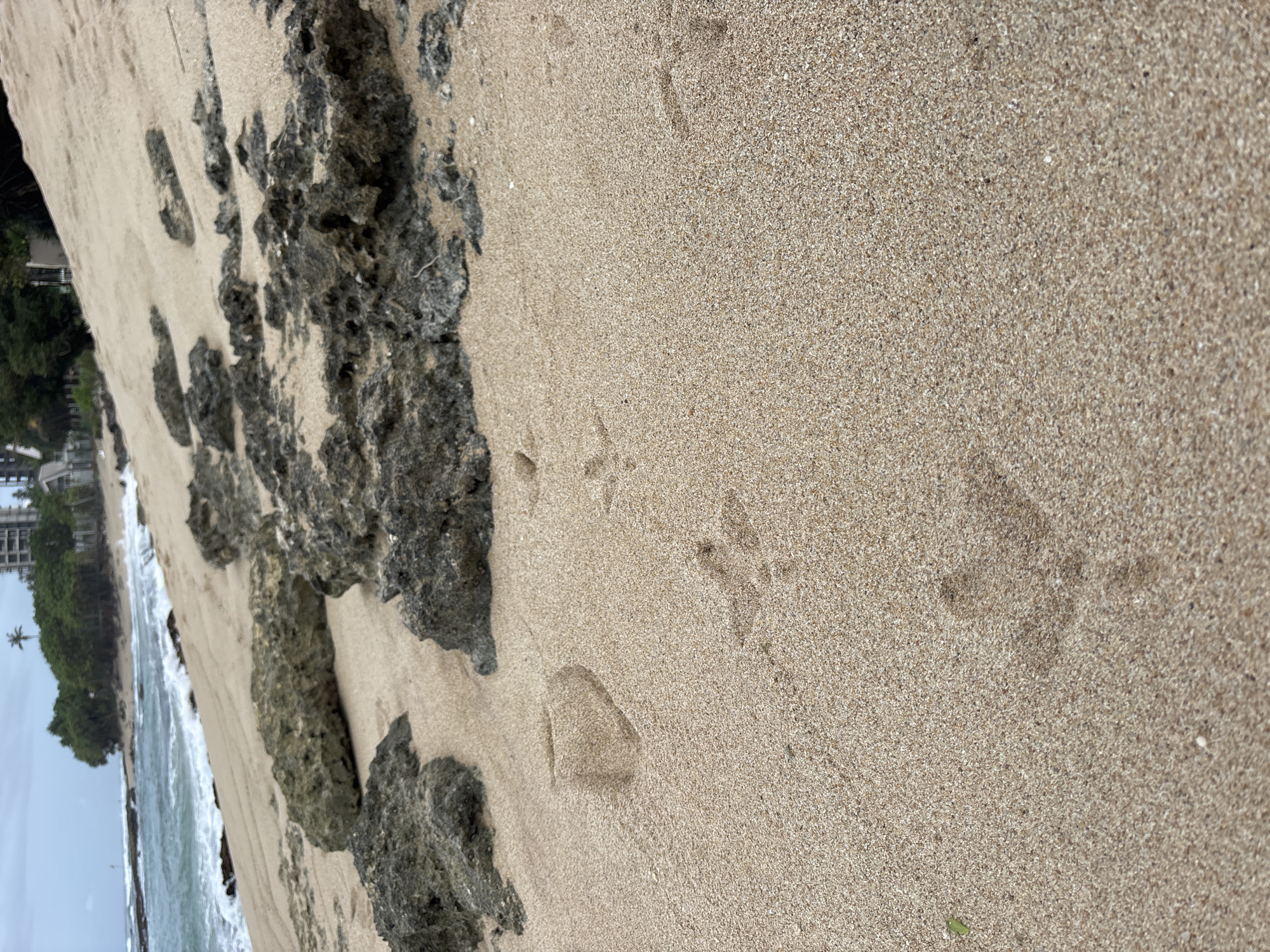 The image shows a beach scene in Thalaramba, Sri Lanka. The foreground consists of tan sand with footprints. To the left, there is a rocky area with dark gray-green rocks. In the background, there is a glimpse of the ocean and a building with trees around it. The image is taken at a tilted angle.