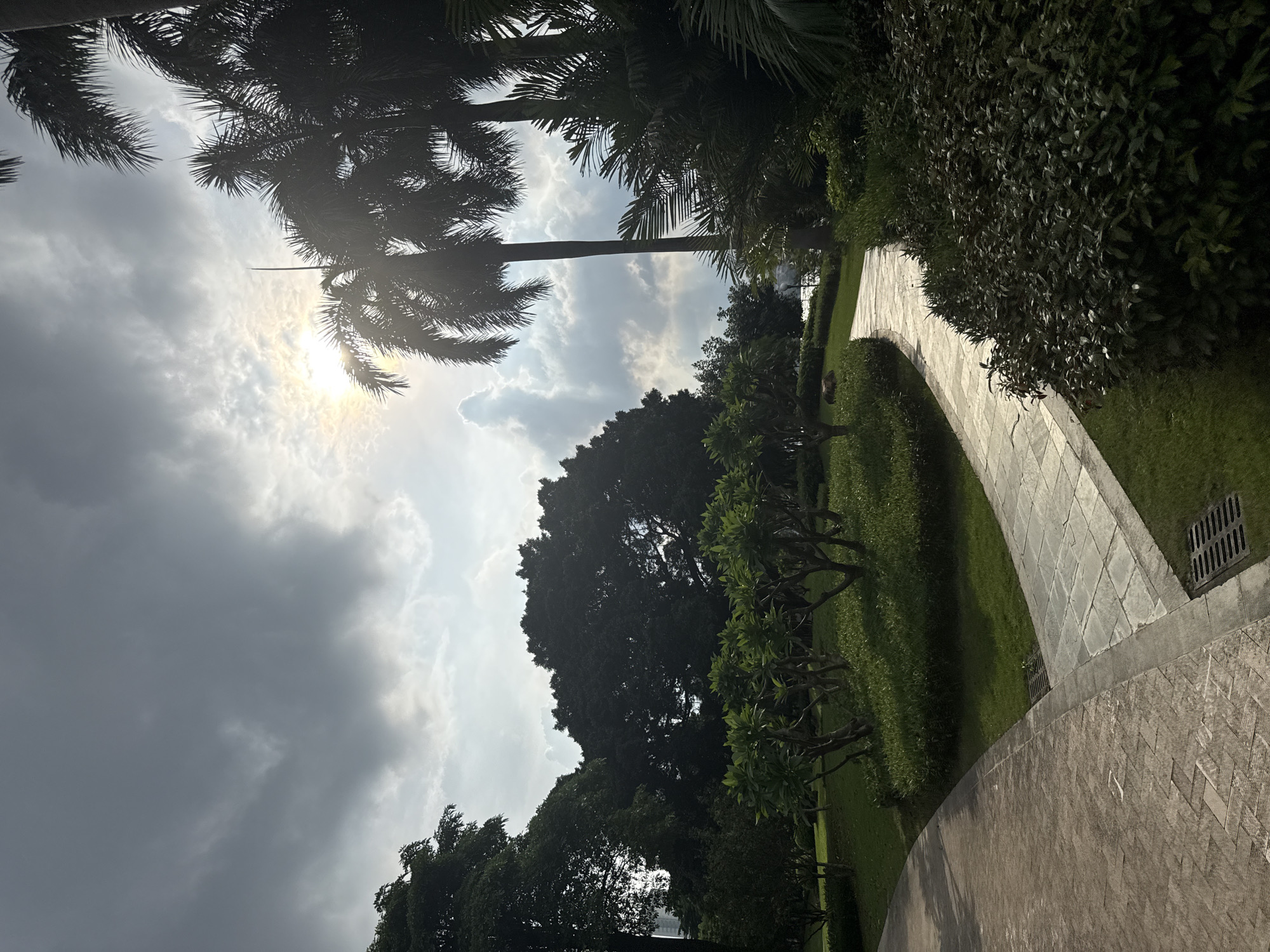 The image shows a winding paved pathway through a lush green park. Tall palm trees are silhouetted against a cloudy sky with the sun partially obscured by the clouds, suggesting it is either early morning or late afternoon. The pathway is made of light-colored stone tiles laid in a diamond pattern. To the right of the path, a meticulously manicured lawn slopes gently upwards, bordered by dense, dark green foliage. To the left of the path, the scene is dominated by the silhouettes of large trees and palm fronds, casting shadows on the grass. The overall impression is one of a serene and well-maintained outdoor space, possibly a botanical garden or a park. The weather appears to be partly cloudy with the sun attempting to break through. No people or specific activities are visible in the frame.