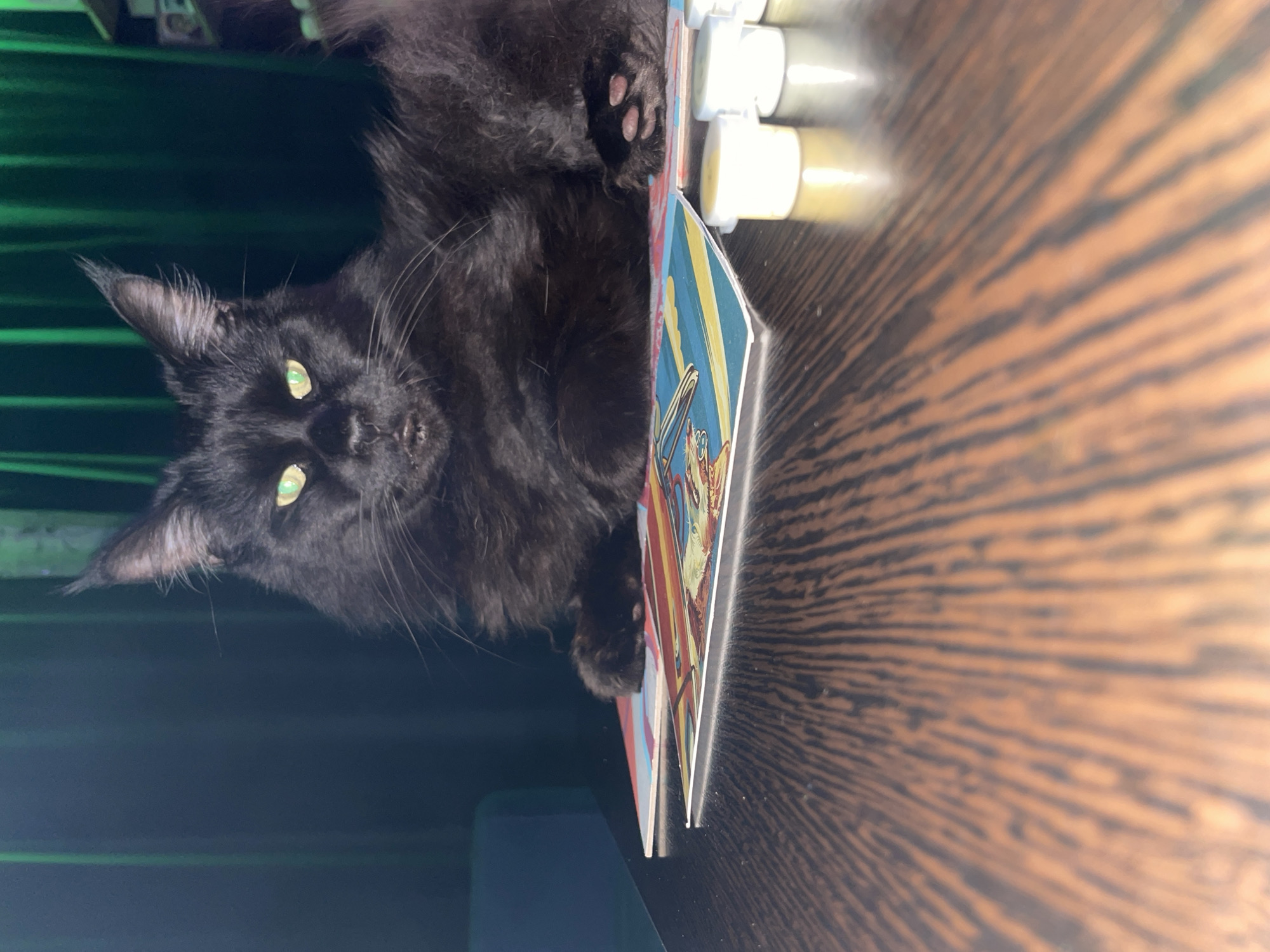 A long-haired black cat with green eyes is resting on top of two comic books, which are stacked on a wooden table. Several small bottles, possibly containing paint, are visible near the cat's paws. A section of green fabric is in the background. The location is unknown.