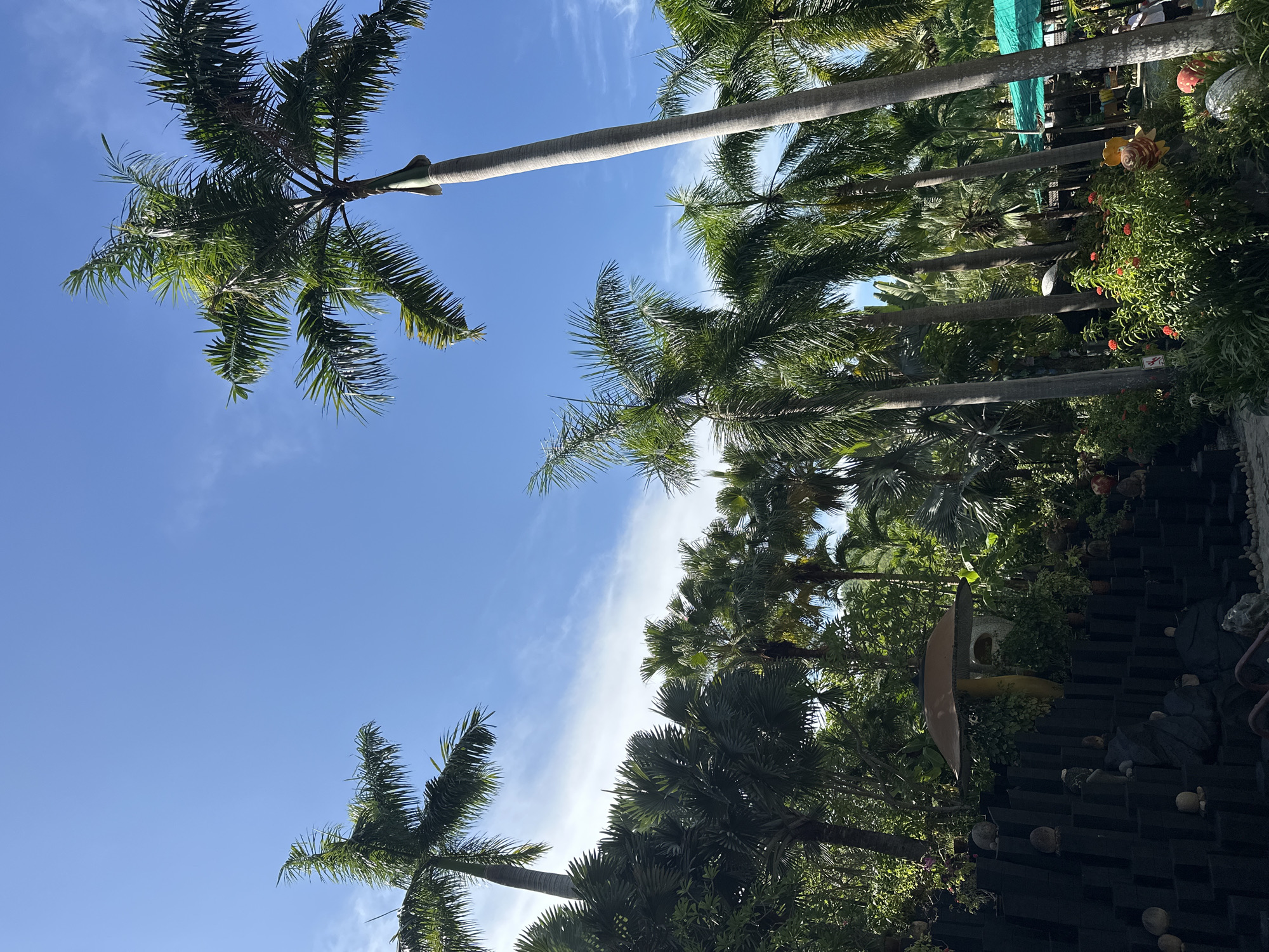 This image captures a sunny day with a clear blue sky above a lush green tropical environment. Tall palm trees dominate the scene, their fronds reaching upwards. In the foreground, there is a tiered, dark structure with various spherical objects placed on it. A large, mushroom-shaped decoration is visible, nestled amongst dense foliage. Further in the background, more palm trees and greenery can be seen, along with glimpses of what appear to be decorative items and possibly a green tented structure. The overall impression is of a tropical garden or park setting, likely within the city of Nha Trang, Vietnam, given the abundance of palm trees and the tropical climate suggested by the scene.