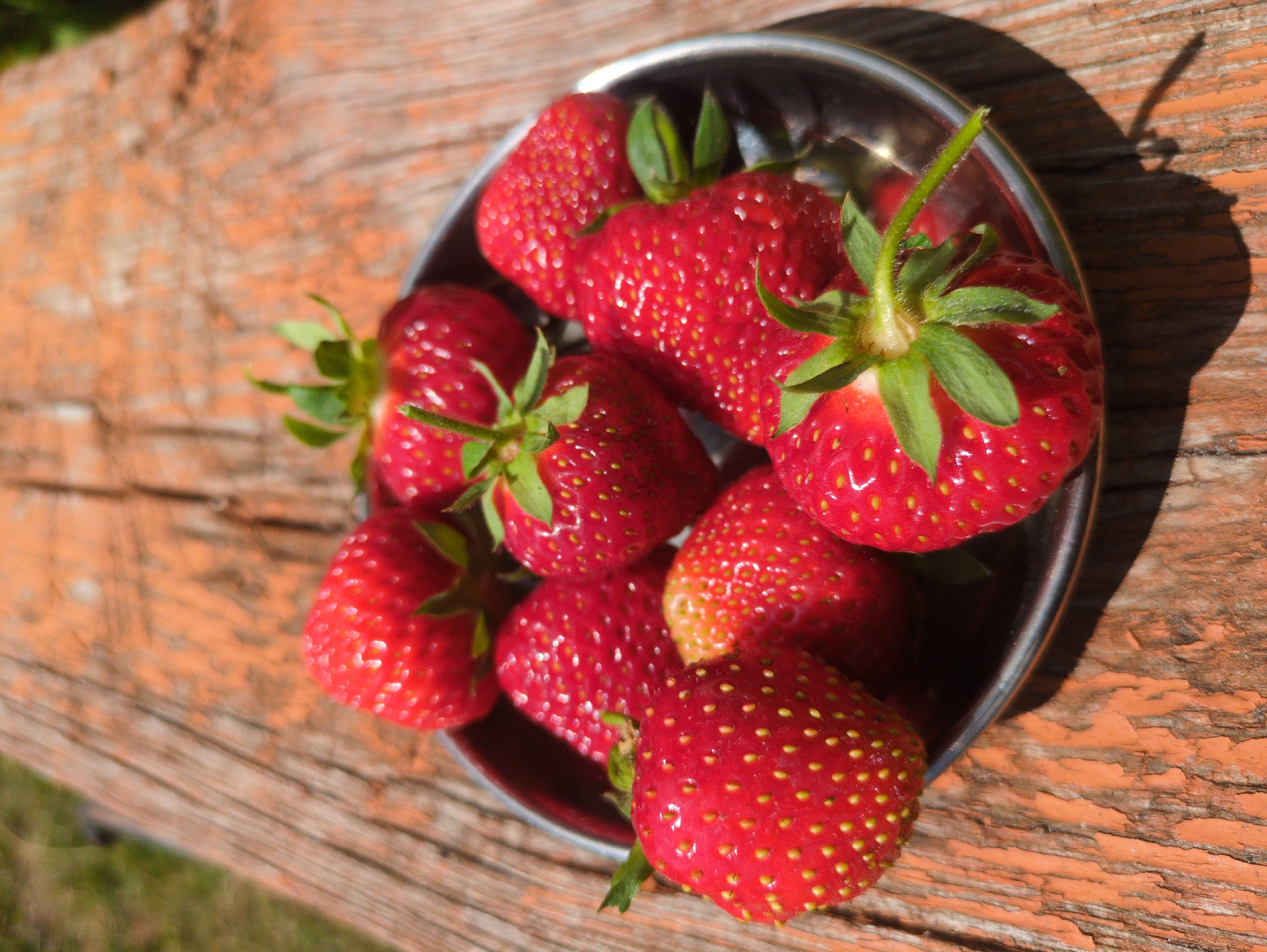 A shallow, metallic dish containing approximately ten ripe strawberries sits on a weathered, orange-painted wooden surface. The strawberries are red and have visible yellow seeds. Some have green stems and leaves attached. The wooden surface is textured with cracks and peeling paint. The background is blurred, showing hints of green foliage and a wooden grain. The lighting suggests an outdoor setting with a shadow cast by the dish and strawberries onto the wooden surface. The scene is devoid of any people or actions. This image is not located in Kulebaki, Russia.