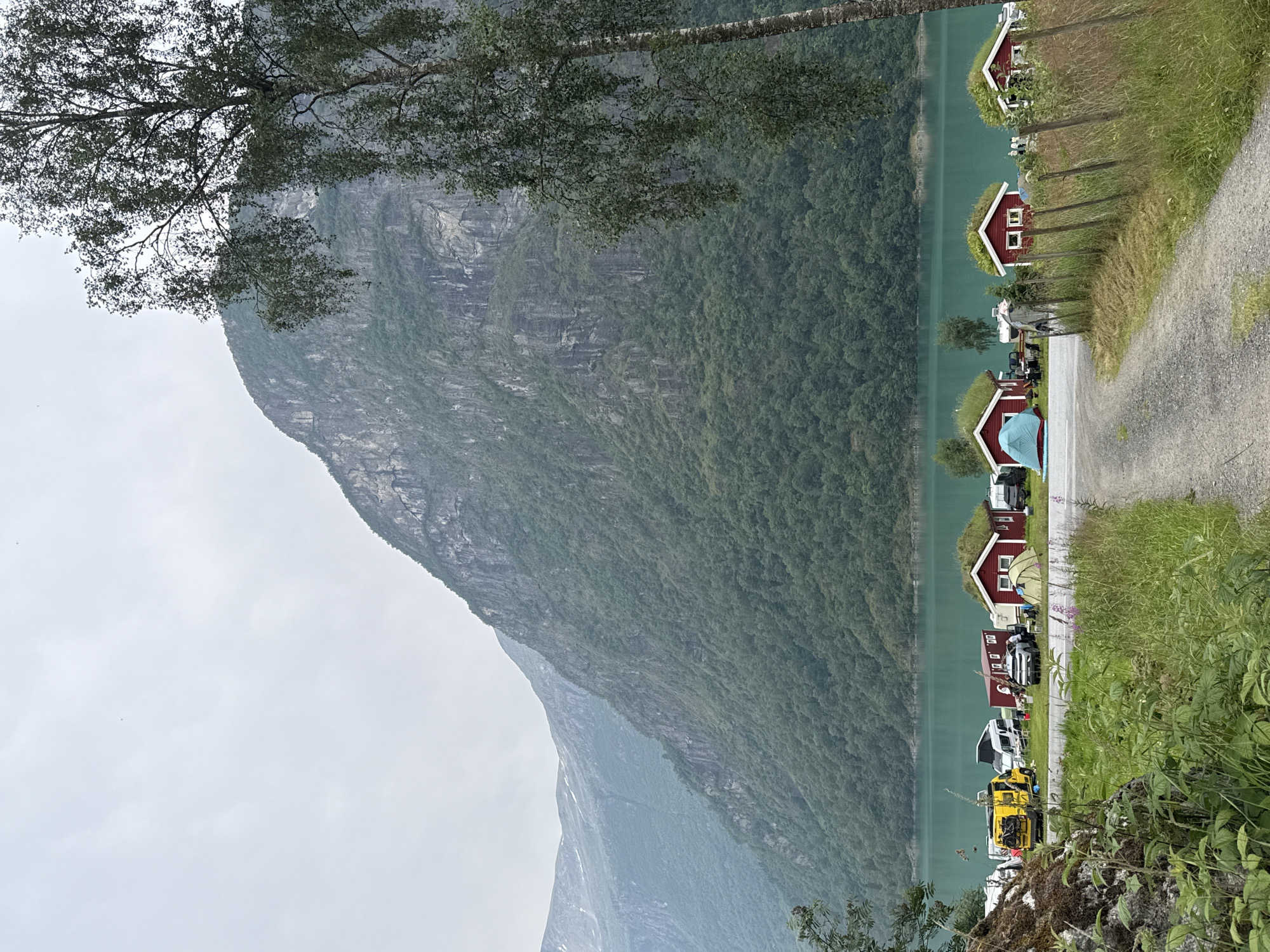 The image shows a camping area near a lake in Olden, Norway. In the foreground, a gravel path leads towards a row of small, red cabins with green, grass-covered roofs. Several tents are pitched near the cabins, and a fence made of wooden posts and wire runs along the right side of the path. Beyond the cabins and tents, a bright turquoise lake is visible, with a large, green, tree-covered mountain rising steeply from the opposite shore. The sky is overcast and a tall tree with delicate leaves stands on the right side of the image, partially obscuring the mountain. In the middle ground, several vehicles are parked, including a yellow camper van, a white camper van, and a silver car. A few people are seen near the vehicles and cabins. The overall scene depicts a serene, natural setting with a focus on outdoor recreation.