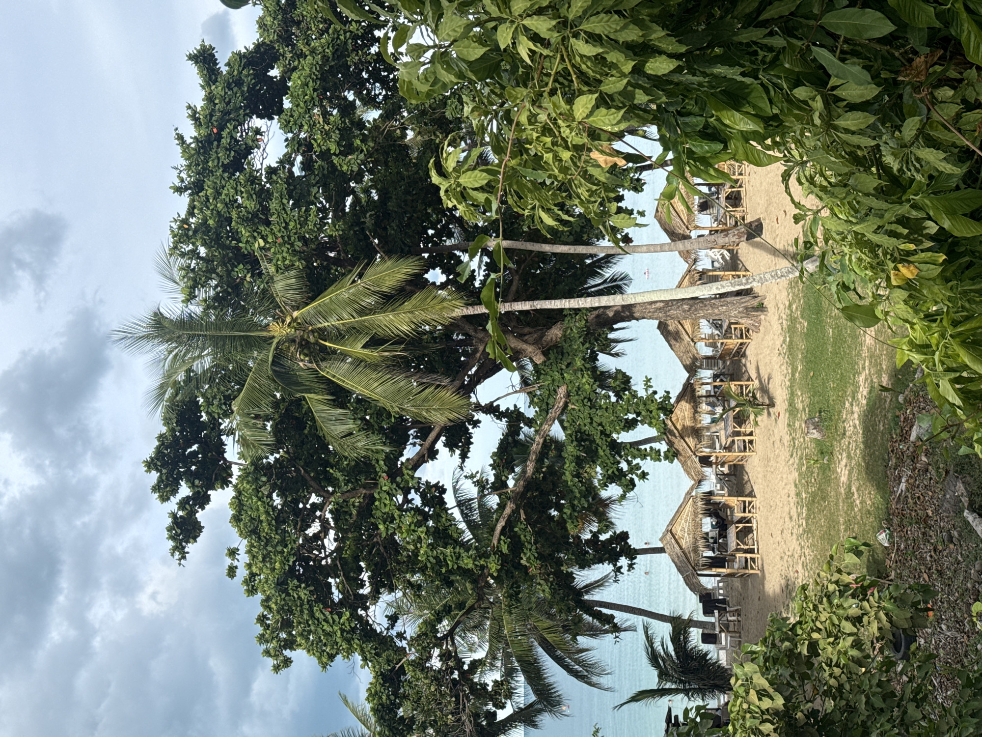 The image depicts a tropical beach scene in Baan Chaweng Noi, Thailand. The foreground is dominated by lush green foliage and palm trees, with their fronds partially obscuring the view. Beyond the trees, a sandy beach stretches out, dotted with several thatched-roof huts that appear to be beachside dining or seating areas. White chairs and tables are visible beneath these structures.
The sea is a calm, light blue and appears to extend to the horizon. In the distance, a small boat can be seen on the water, and a few indistinct figures, possibly people, are in the shallow water near the shore. The sky is overcast with soft grey clouds, suggesting it might be late afternoon or an overcast day. The overall impression is one of a serene, relaxed tropical resort setting. No text is visible in the image.