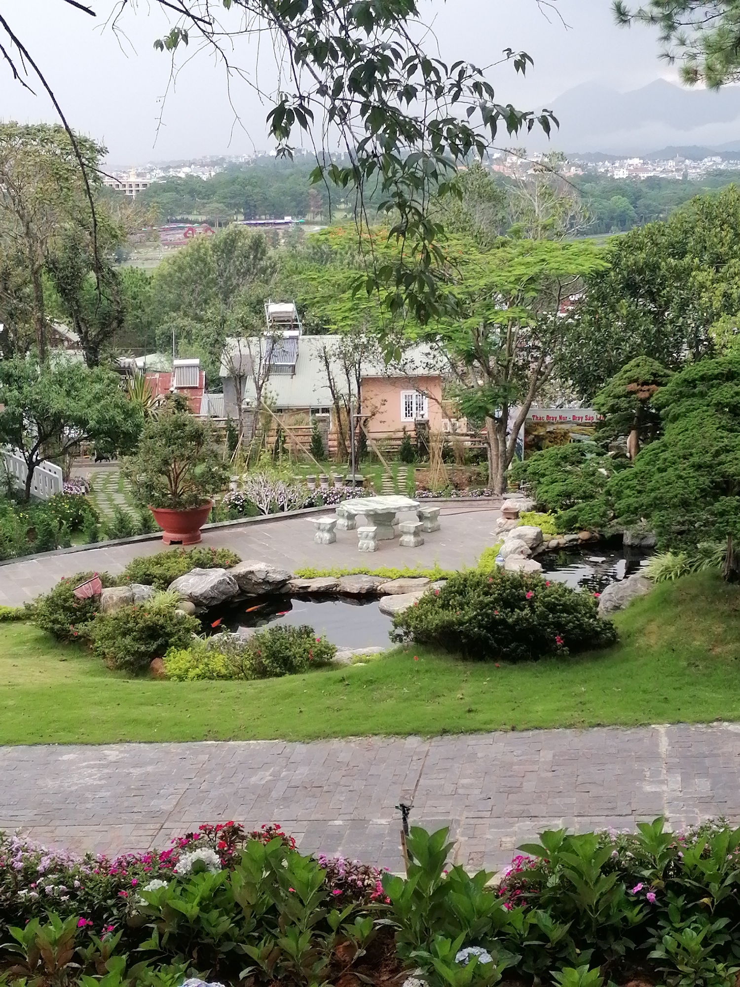 The image depicts a tranquil garden scene in Da Lat, Vietnam, likely from a viewpoint overlooking a hillside. In the foreground, a paved pathway made of grey rectangular stones runs horizontally across the bottom of the frame. This path is bordered by a vibrant bed of colorful flowers, predominantly pink and white, with lush green foliage.
Beyond the pathway, a neatly manicured lawn slopes gently upwards. Nestled within the lawn is a small, dark pond with several bright orange koi fish visible beneath the surface. The pond is surrounded by decorative rocks and low-lying green bushes. To the left of the pond, a winding stone path leads towards a white balustrade and a building in the mid-ground. A large terracotta pot containing a well-maintained conical tree stands prominently on the paved area beside the pond.
In the mid-ground, a light pink building with a white-trimmed window is visible, partially obscured by trees. Further back, several other buildings with sloping roofs and solar water heaters can be seen. A tall, slender tree with bright green, feathery leaves stands to the right of the pink building.
The background reveals a sprawling cityscape of Da Lat, characterized by a dense collection of white and light-colored buildings nestled amongst verdant hills. In the far distance, misty mountains loom under an overcast sky. The overall impression is one of serenity and natural beauty, with elements of traditional Vietnamese architecture integrated into the landscape.