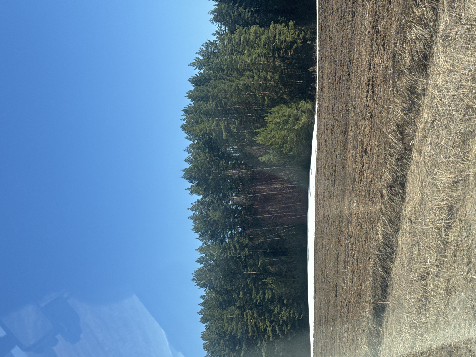 The image depicts a rural landscape. On the left, a clear blue sky occupies a significant portion of the frame. Adjacent to the sky, a dense evergreen forest extends towards the middle of the image. To the right of the forest, there is a field consisting of dark, tilled soil with patches of dry, brown vegetation. A narrow strip of snow is visible, separating the forest from the field. The scene suggests a location in Ledukhi, Russia, characterized by forests and agricultural land.