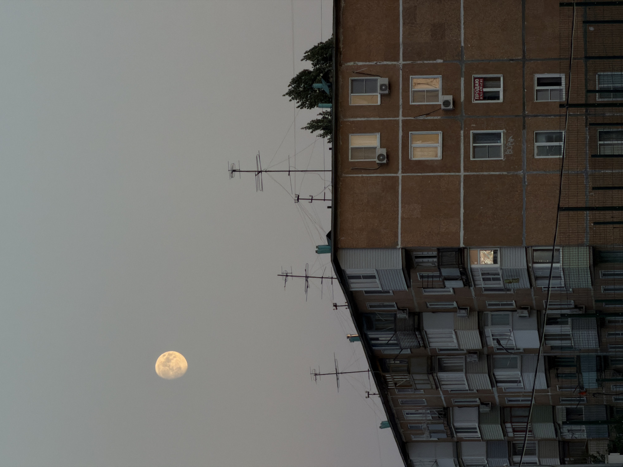 The image depicts an apartment building in Kamyshin, Russia, under a hazy, pale yellow sky. A full moon, casting a soft, golden glow, is visible in the upper left quadrant of the sky. The building, an older concrete structure with a stucco exterior, features numerous balconies and windows. Many of the windows are lit, suggesting habitation. Several television antennas are mounted on the roof of the building. On one of the upper-story windows, a red sign with Russian text, "ПРОДАЮ" (meaning "FOR SALE"), is displayed along with a phone number. The building is partially obscured by a dark fence in the foreground. The overall scene conveys a sense of everyday urban life at dusk.