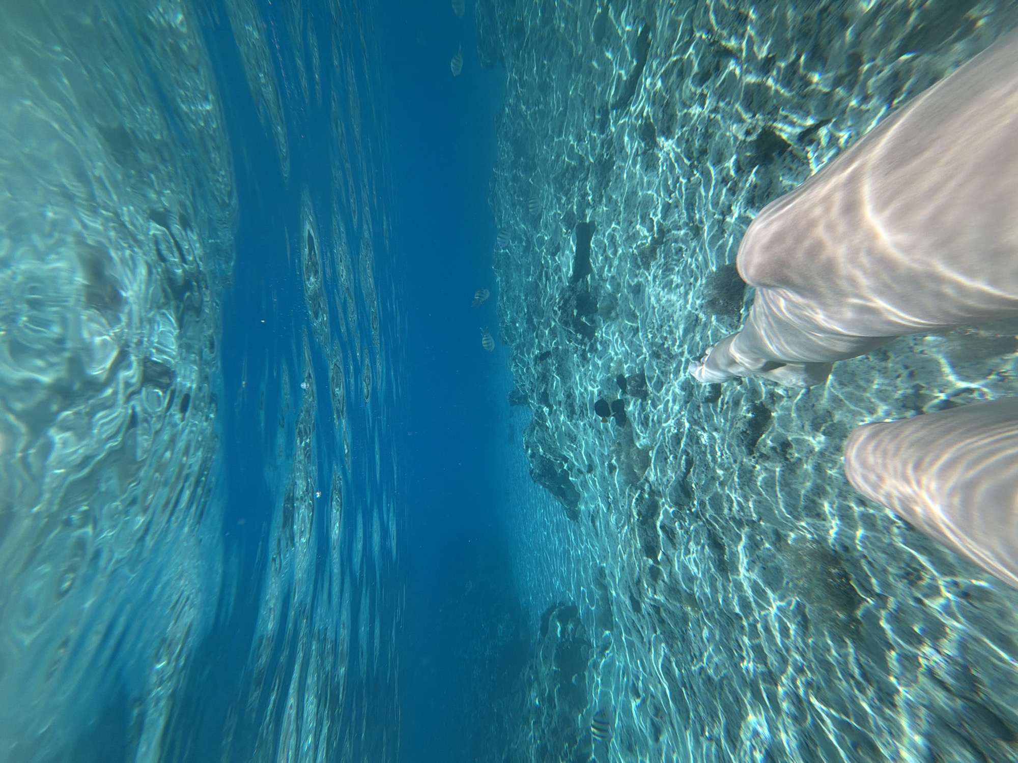 This image presents an immersive underwater view captured in remarkably clear, turquoise blue water. The scene is diagonally divided, with the upper left showing the open expanse of deep blue water, while the lower right reveals a shallow, rocky, or corally seabed.
In the bottom right corner, the lower legs and feet of a person are visible, partially submerged and illuminated by the bright, dappled sunlight that penetrates the water's surface. This suggests the individual is either swimming, snorkeling, or wading. Several small fish, distinguished by horizontal stripes, can be observed swimming near the seabed in the central left area of the image.
The prominent patterns of sunlight refracting through the water indicate that the photograph was taken during bright daytime conditions, suggesting clear weather. The exceptional clarity of the water and the presence of a distinct seabed point to a marine environment, such as a sea or ocean. Given the context of Sharm El Sheikh, Egypt, this scene is characteristic of the Red Sea's renowned transparent waters and vibrant underwater ecosystem. The image evokes a sense of peace, natural beauty, and direct engagement with an aquatic environment. There is no visible text.