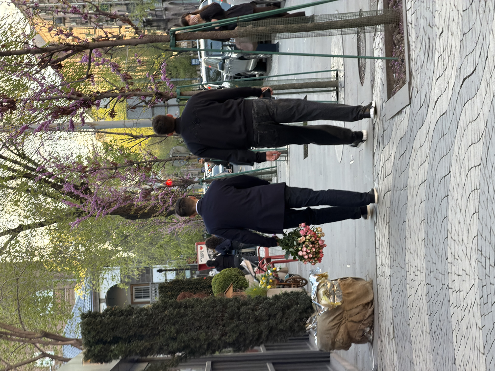 This image depicts an urban street scene in Yerevan, Armenia, captured during what appears to be late afternoon or early morning. Two men are walking away from the camera on a light-colored, patterned sidewalk. The man in the foreground is dressed in a dark suit jacket and pants, carrying a large bouquet of pink roses in his left hand. Behind him, another man, wearing a black jacket and dark jeans, holds a dark object in his right hand.
The sidewalk is bordered by a row of trees with green leaves and vibrant purple blossoms, indicative of springtime, and manicured dark green hedges. Green metal fencing separates the pedestrian walkway from the street, where several cars are visible in the background, including a silver sedan. Further down the sidewalk, partially obscured by the fencing and foliage, a woman in dark clothing is also visible.
To the right of the men, a large, light brown canvas-like bag, adorned with shiny gold or silver wrapping, rests on the sidewalk. A red cart, possibly a flower vendor's stand, holding a smaller bouquet of yellow flowers, is positioned further back. Buildings with various architectural details, including an external air conditioning unit, are visible behind the trees. The overall scene conveys a calm, everyday city atmosphere, with the prominent bouquet of roses suggesting a special occasion or gift. No discernible text is visible.