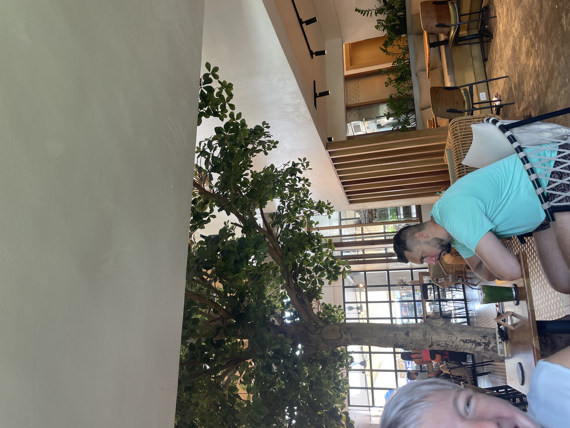 The image shows an indoor space in Choeng Thale, Thailand. A large tree grows inside the building, its trunk visible in front of a wall of windows. Two people are partially visible at a table; a man in a light blue shirt is bending over a table with a green drink, and another person is visible in the foreground. The space appears to be a cafe or restaurant with tables, chairs, and other plants in the background. Overhead, track lighting is visible on the ceiling.