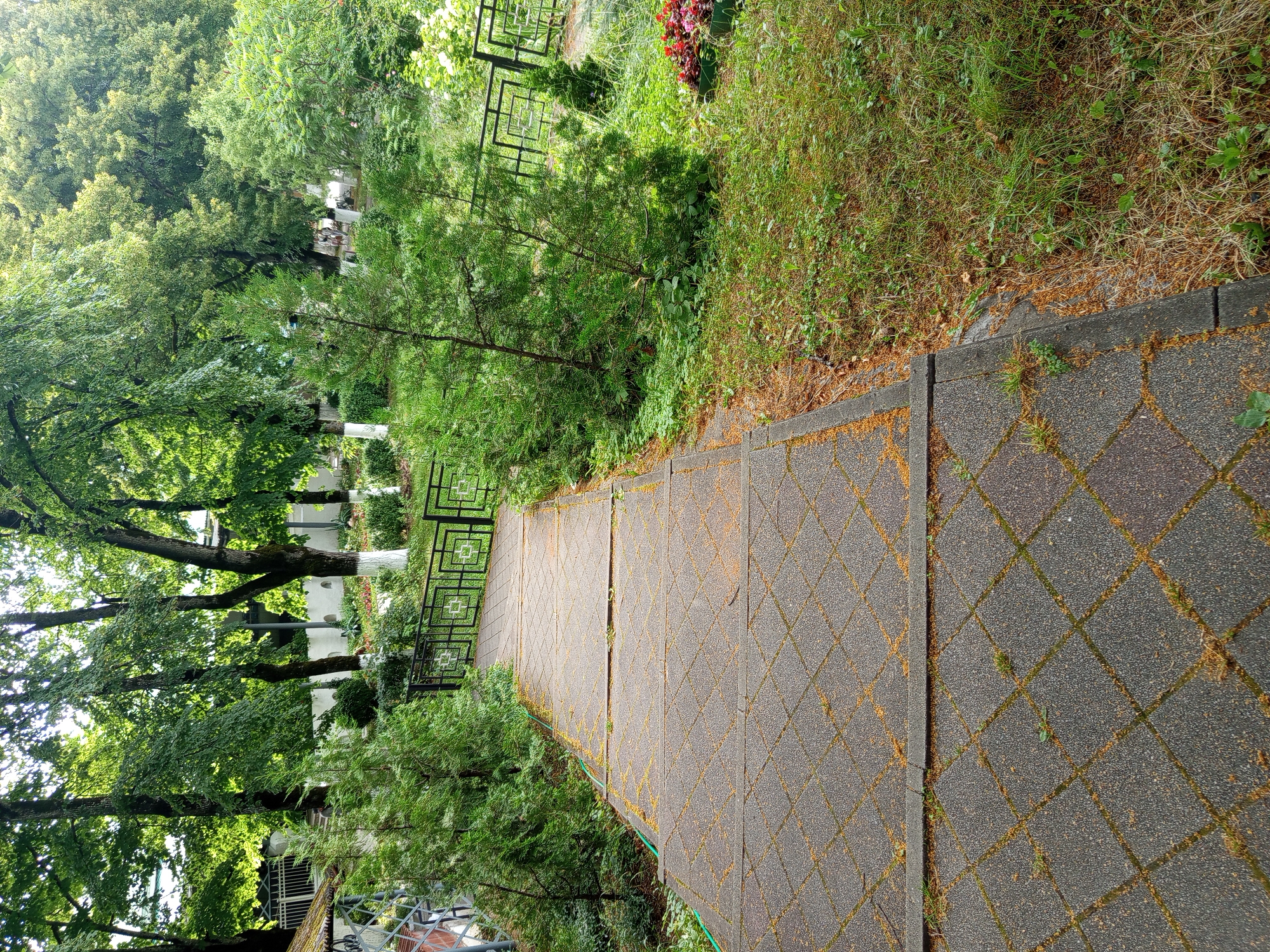 The image shows a paved pathway with a diamond pattern leading down a gentle slope in a park-like setting. The pathway is bordered by grass on the right and a row of trees and bushes on the left. A black metal fence runs along the right side of the pathway. In the background, there are more trees, some with white-painted trunks, and a white wall. A small flower bed with red flowers is visible to the right of the pathway. The scene appears to be in the city of Giaginskaya, Russia, given the context provided. There are no people visible in the image. The environment is green and appears to be a public outdoor space.