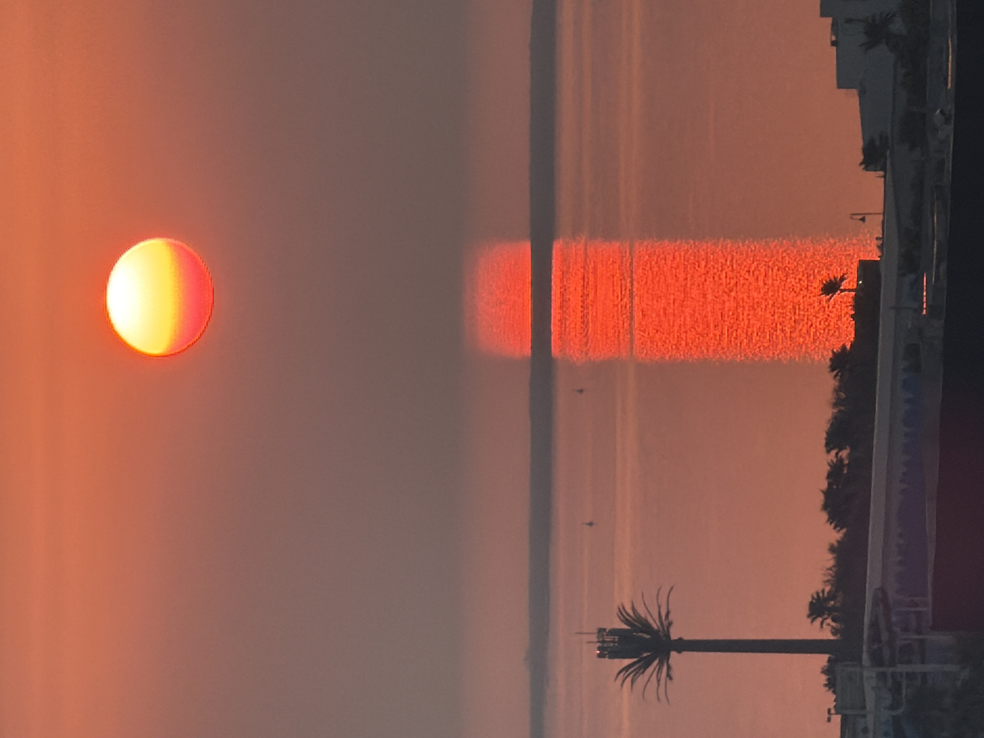 This is a photograph taken during sunset or sunrise, likely near a body of water. The sun is a bright, glowing orb in the upper portion of the frame, transitioning from yellow at its center to orange and red at its edges. It casts a shimmering reflection on the water, creating a vertical column of light that stretches downwards. In the foreground, on the left, a tall, slender palm tree stands silhouetted against the warm sky. Behind it, a low-rise building with a distinctive roofline is visible, along with other trees and vegetation. The water appears calm, with a few small buoys or markers scattered across its surface. The overall color palette is dominated by warm oranges and reds, characteristic of a sunset or sunrise.