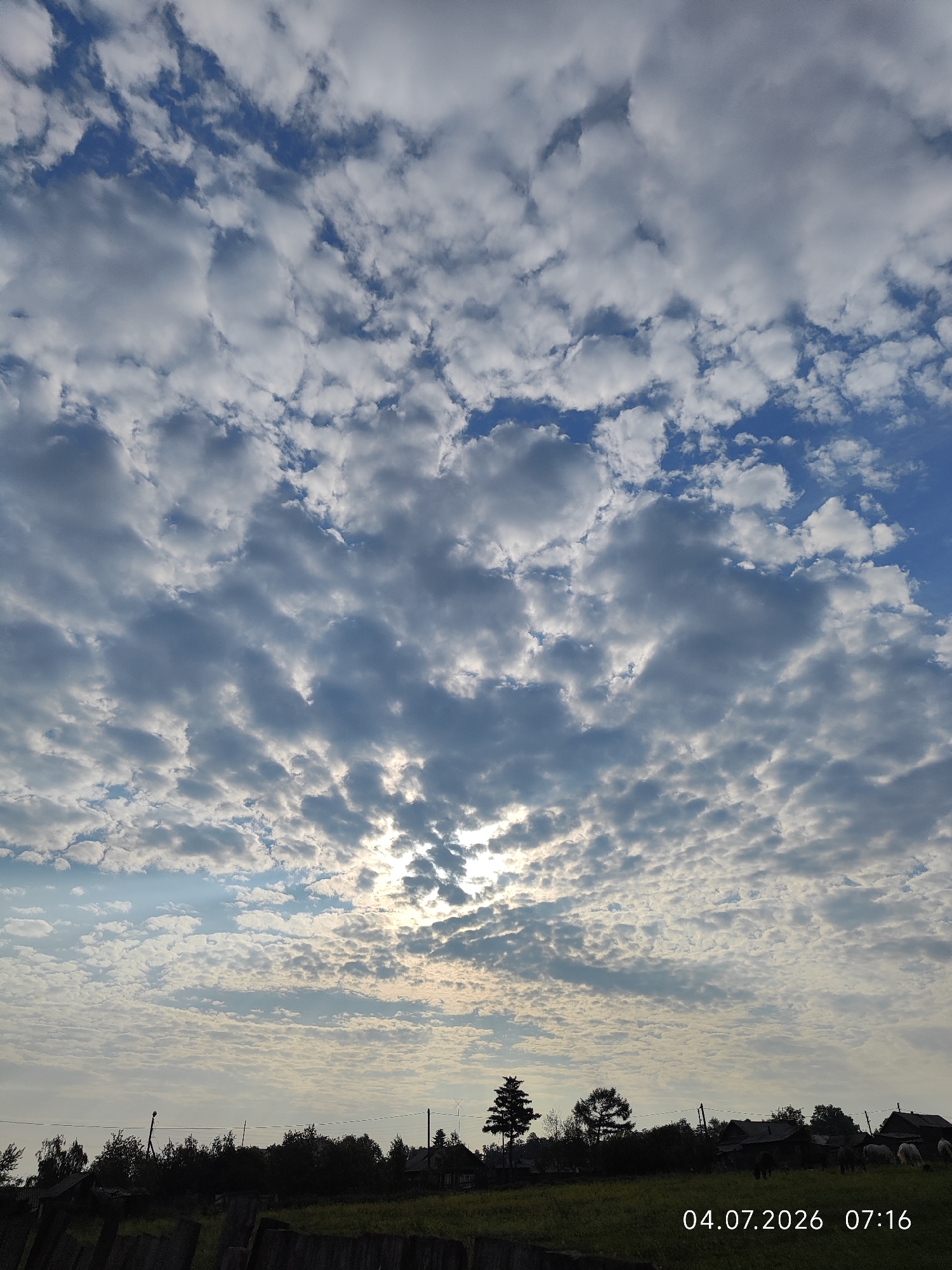 A landscape photograph captures a rural scene in Konovalovo, Russia, under a partly cloudy sky. The sky is filled with a textured pattern of cumulus clouds, with patches of blue visible. Sunlight breaks through the clouds in the upper center of the image, creating a bright, diffused glow.
The lower portion of the image shows a silhouetted treeline of deciduous and coniferous trees, with several buildings appearing as dark shapes behind them. In the foreground, a dark wooden fence runs along the bottom left of the frame. A green grassy field stretches out behind the fence. Several sheep are visible grazing in the field on the right side of the image. A timestamp in the bottom right corner reads "04.07.2026 07:16".