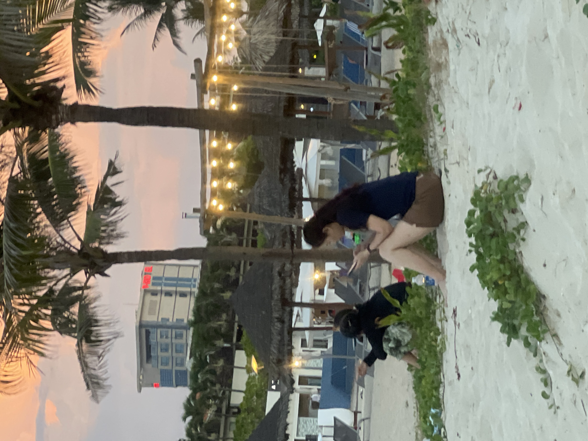 The image depicts a beachfront scene during twilight. Two individuals are seated on the sand, amidst lush green vegetation. In the background, several thatched-roof umbrellas and lounge chairs suggest a resort setting. Further back, a modern hotel building with illuminated windows and red signage stands against a soft, pastel-colored sky. Palm trees frame the scene, with strings of lights strung between wooden posts in the mid-ground. The location is identified as Đà Nẵng, Vietnam. The person on the left is wearing a dark long-sleeved shirt and camouflage-patterned shorts, and is pointing to the left. The person on the right is wearing a dark t-shirt and brown shorts, and is looking down at their phone. A bottle of water is visible near the person on the left.