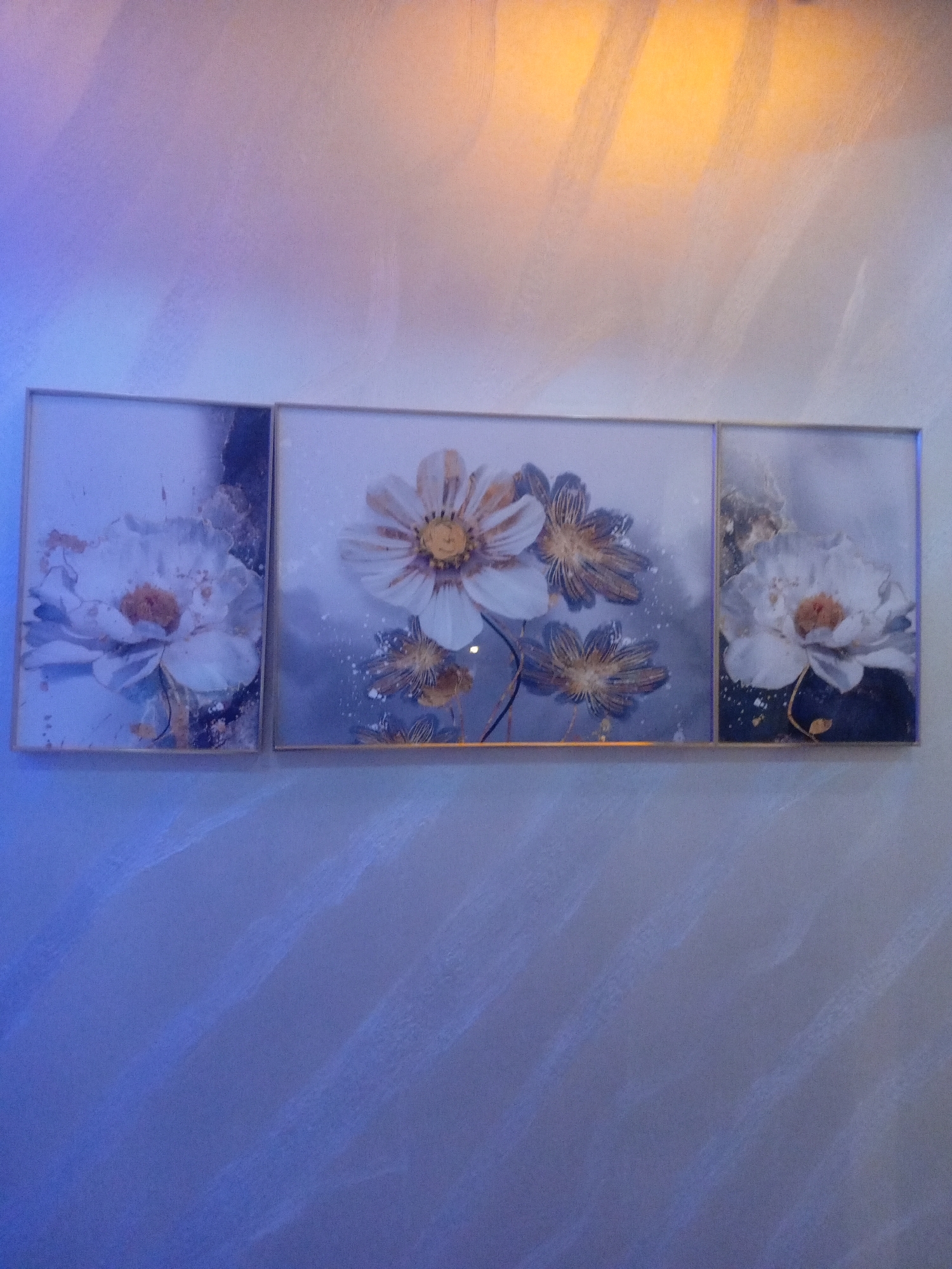 A triptych painting featuring floral motifs hangs on a textured wall illuminated by blue and yellow light. The left panel shows a white peony with a reddish-brown center. The central panel displays a white and gold flower with dark blue accents and smaller gold flowers below it. The right panel features a white flower with a reddish-brown center. The wall has a subtle, streaky texture, and diagonal streaks of light are visible. The overall scene is dimly lit, with the light sources creating distinct color gradients on the wall. The painting is framed with thin, gold-colored borders. There are no people or animals present in the image. The location is not discernible from the visual evidence provided.