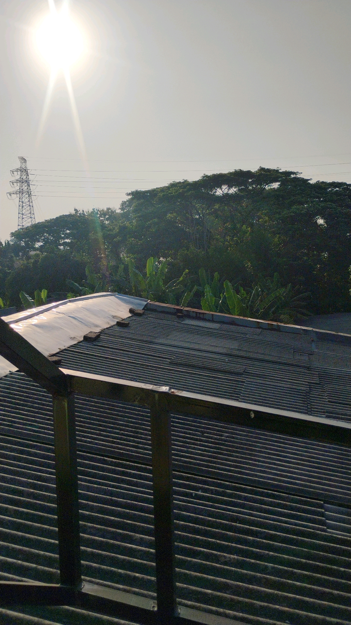The image shows a view from a rooftop in Gumpang, Indonesia. The sun is bright and high in the sky, casting a glare. In the background, a tall electrical tower and power lines are visible, along with a dense line of trees. In the foreground, there are two corrugated metal roofs, one of which has a section of translucent roofing material. The roofs appear weathered and show signs of age, with some bricks placed on the edge of the upper roof. Banana trees are interspersed within the foliage of the larger trees.