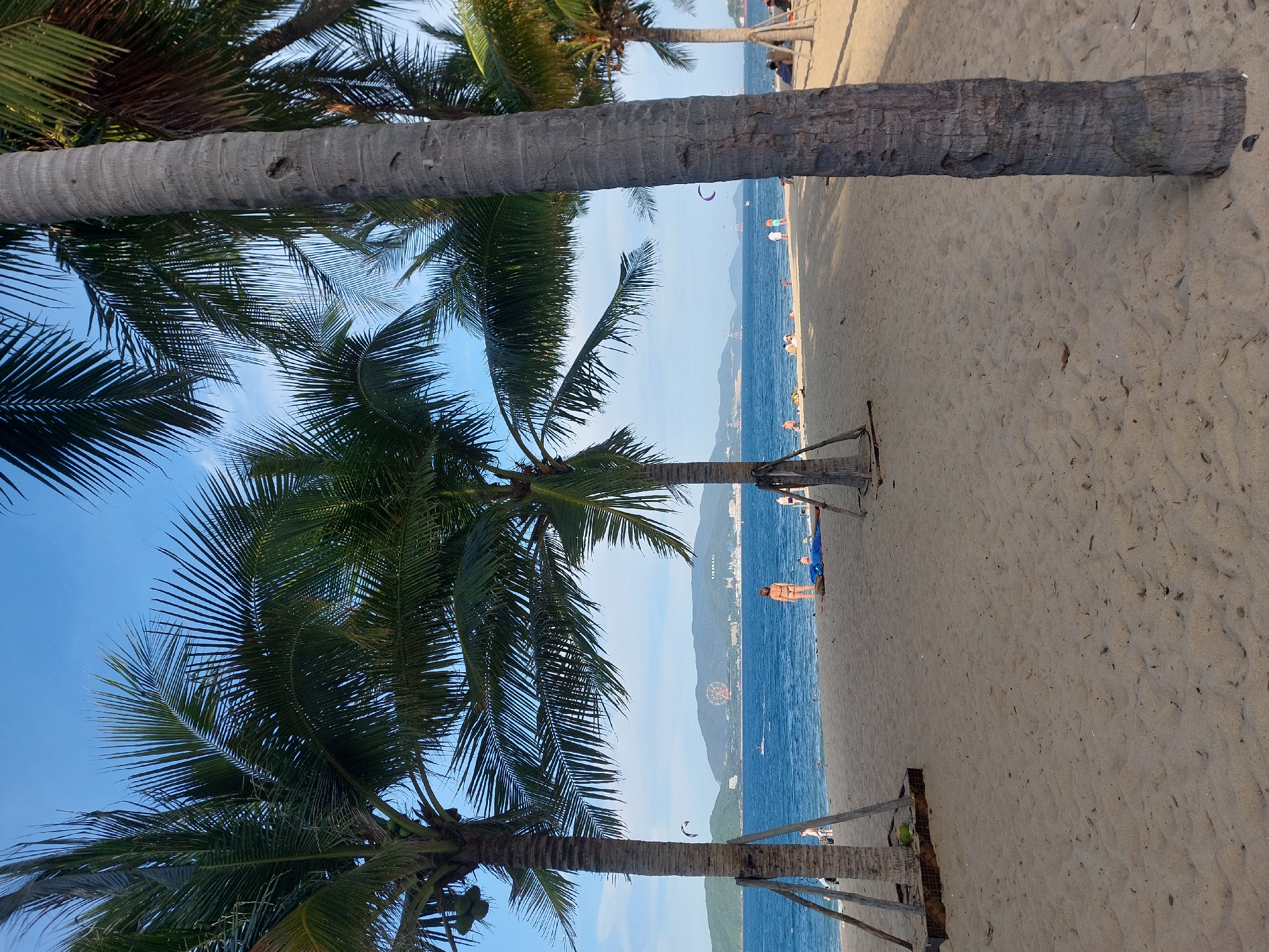 The image depicts a sunny day at a sandy beach in Nha Trang, Vietnam. Palm trees with large fronds dominate the foreground and frame the scene, casting shadows on the sand. In the background, the turquoise sea stretches out towards a hazy coastline with mountains. A ferris wheel is visible on a distant hill, suggesting a resort or amusement area. Several people are scattered along the beach and in the shallow water, some sunbathing, others walking or swimming. A kite surfer is visible on the water to the left. The sand is light brown and strewn with small debris. The sky is a clear, bright blue.