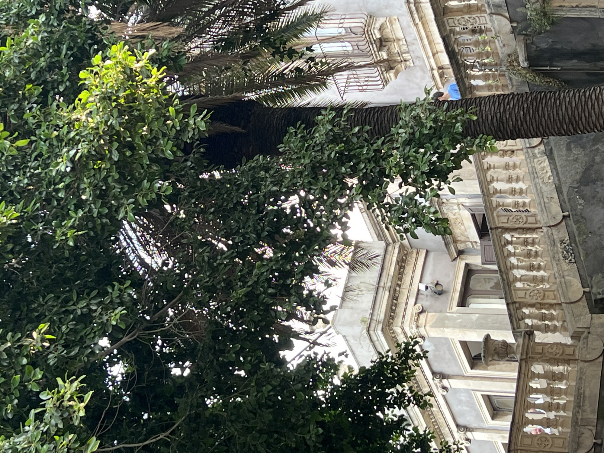 The image shows a lush green tree in the foreground, its branches partially obscuring an ornate building and a balcony in Catania, Italy. The building exhibits classical architectural elements, including columns, decorative molding, and a stone balustrade. Sunlight filters through the leaves, creating dappled patterns on the scene. A person in a blue shirt is visible on the balcony, looking out. The lower portion of the image reveals a stone staircase leading up to the balcony. The overall impression is one of old-world charm and natural beauty.