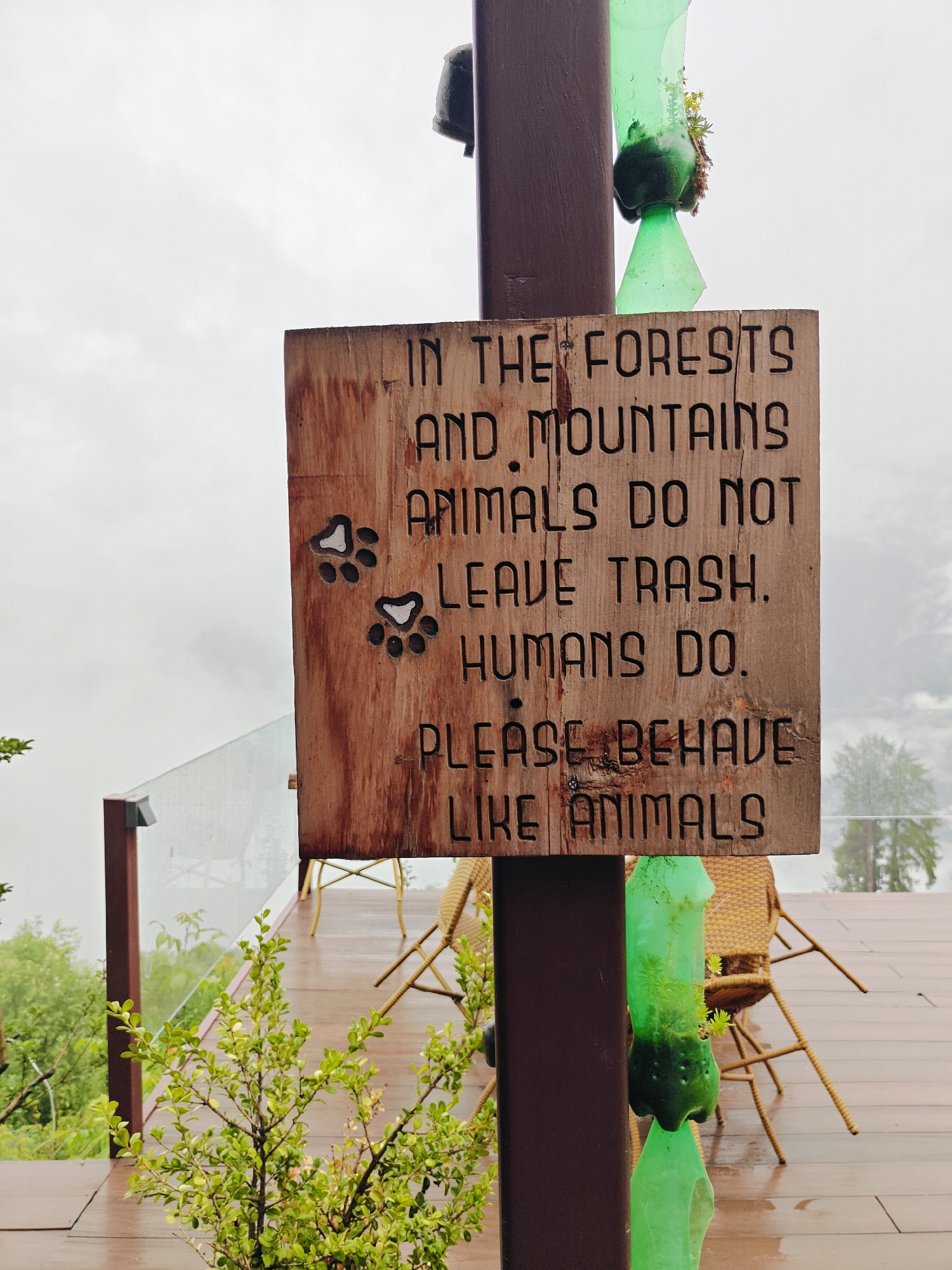 A weathered wooden sign is affixed to a brown post in Prini, India. The sign, carved with black lettering, reads: "IN THE FORESTS AND MOUNTAINS ANIMALS DO NOT LEAVE TRASH. HUMANS DO. PLEASE BEHAVE LIKE ANIMALS." Two paw prints are carved into the wood above the text. A lush green plant grows in a repurposed green plastic bottle that hangs from the post. The background shows a wooden deck with chairs and a railing overlooking a misty, green landscape. The sky is overcast.