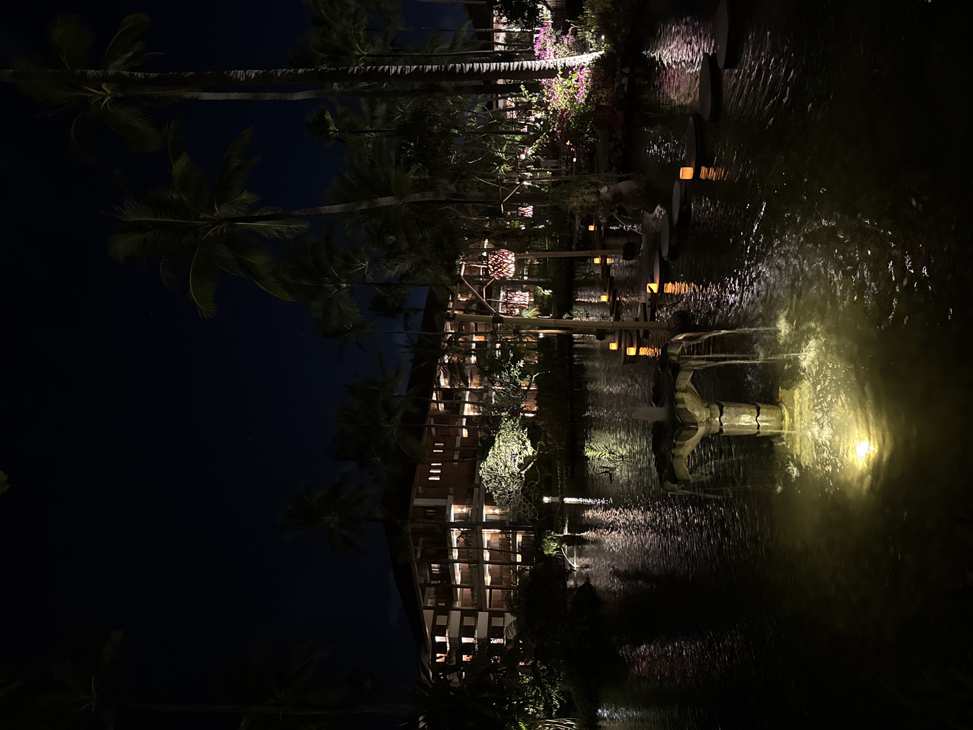 This is a nocturnal shot of a tropical resort or hotel landscape in Kuta Selatan, Indonesia. The image captures a serene outdoor setting dominated by a dark night sky and artificial lighting.
**Subjects:** Prominently featured are several tall palm trees with visible fronds, silhouetted against the dark sky. A multi-story building, likely part of a hotel or resort, lines one side of a water body, with numerous windows and balconies illuminated with warm light. The central feature is a calm body of water, possibly a large pond or canal, which reflects the surrounding lights and structures. Within the water, a distinctive statue or sculpture of a creature, possibly a mythical beast or gargoyle, is visible, spewing water from its mouth like a fountain. Various decorative lights, including glowing lanterns and spotlights, are scattered throughout the scene, illuminating pathways, foliage, and the water feature. Lush tropical plants and flowers, some appearing purple or pink, add to the verdant environment.
**Activity or event taking place:** No explicit activity or people are visible in the image. The scene is static, showcasing the illuminated architectural and natural elements at night.
**Notable details:** The time of day is clearly night, with the sky appearing very dark, possibly with faint stars visible in some areas. The artificial lighting creates a warm, inviting, and tranquil atmosphere. The water's surface shows ripples and reflections from the lights, particularly a bright, almost glowing yellow light around the water-spitting statue, suggesting a strong underwater or submerged light source. The architecture appears modern but with natural materials, fitting a resort setting. The overall impression is one of luxury and peace in a tropical location.
**Visible text:** There is no visible text in the image.