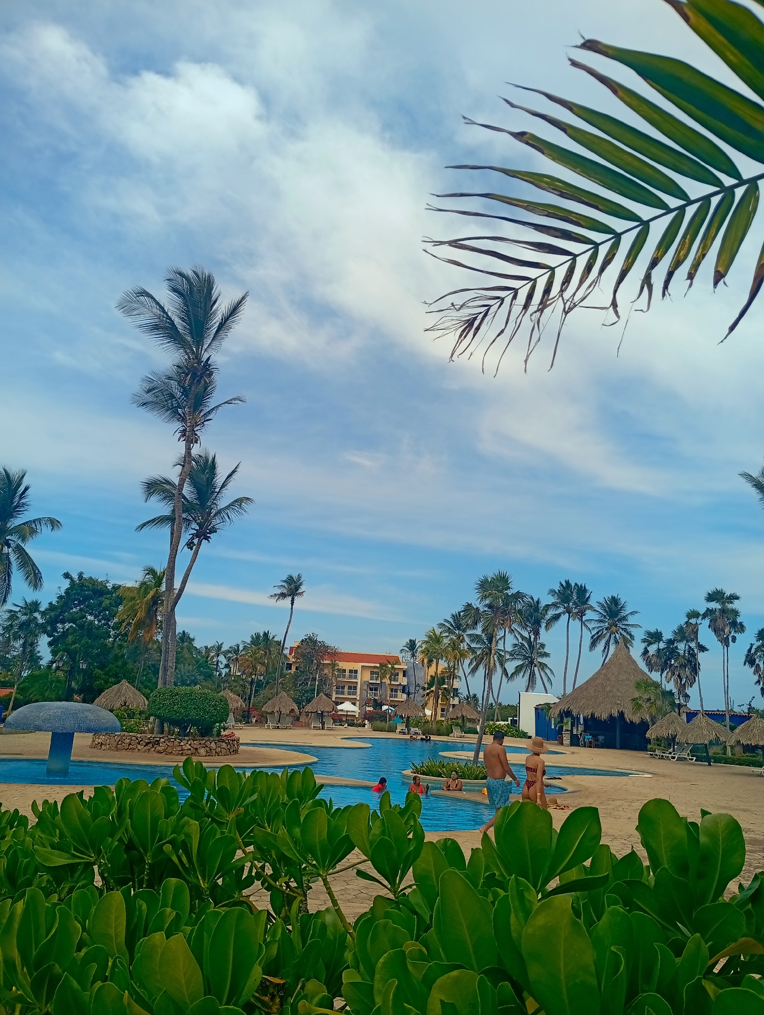 The image depicts a tropical resort scene in Playa El Agua, Venezuela. In the foreground, lush green bushes obscure the lower portion of the frame. Beyond the bushes, a swimming pool with blue water is visible, with several people swimming and relaxing. A couple is walking along the sandy edge of the pool.
Scattered around the pool are several thatched-roof structures, likely bars or shaded seating areas. Palm trees of varying heights populate the background, creating a tropical atmosphere. In the distance, a multi-story building with orange and white walls can be seen.
The sky is blue with scattered white clouds. A palm frond hangs partially into the upper right corner of the frame.