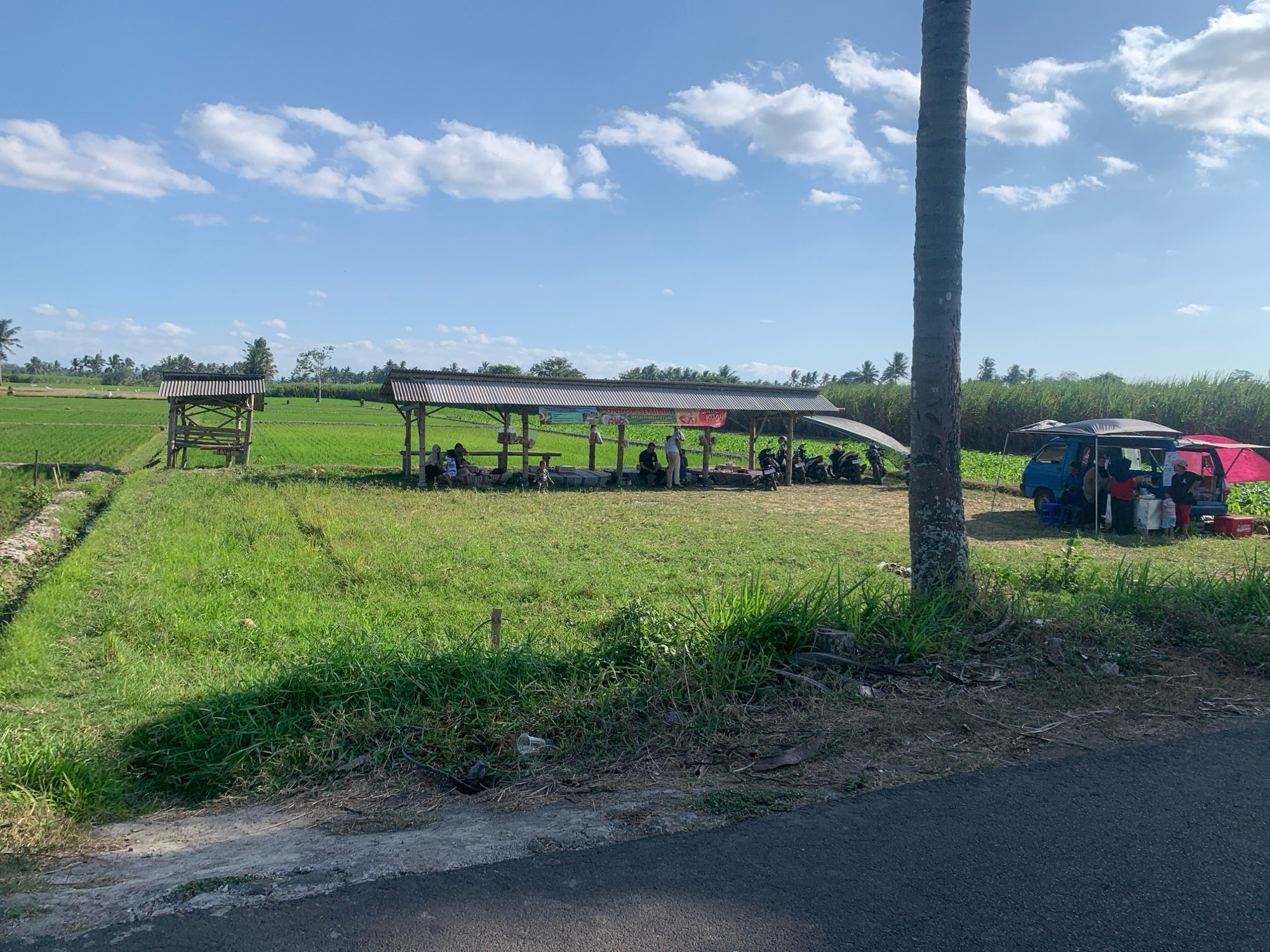 In Sukonolo, Indonesia, a roadside scene unfolds with a natural backdrop of lush green rice paddies under a bright blue sky dotted with white clouds. To the left, a small, wooden open-air structure stands beside a narrow ditch. Further into the field, a larger, covered pavilion with a corrugated metal roof shelters a group of people. Several motorcycles are parked nearby. On the right side of the scene, a blue minivan and a red tent are set up, also attracting a small gathering of individuals. The foreground features a patch of dry grass and dirt beside a paved road, with a prominent palm tree trunk to the right of the frame.