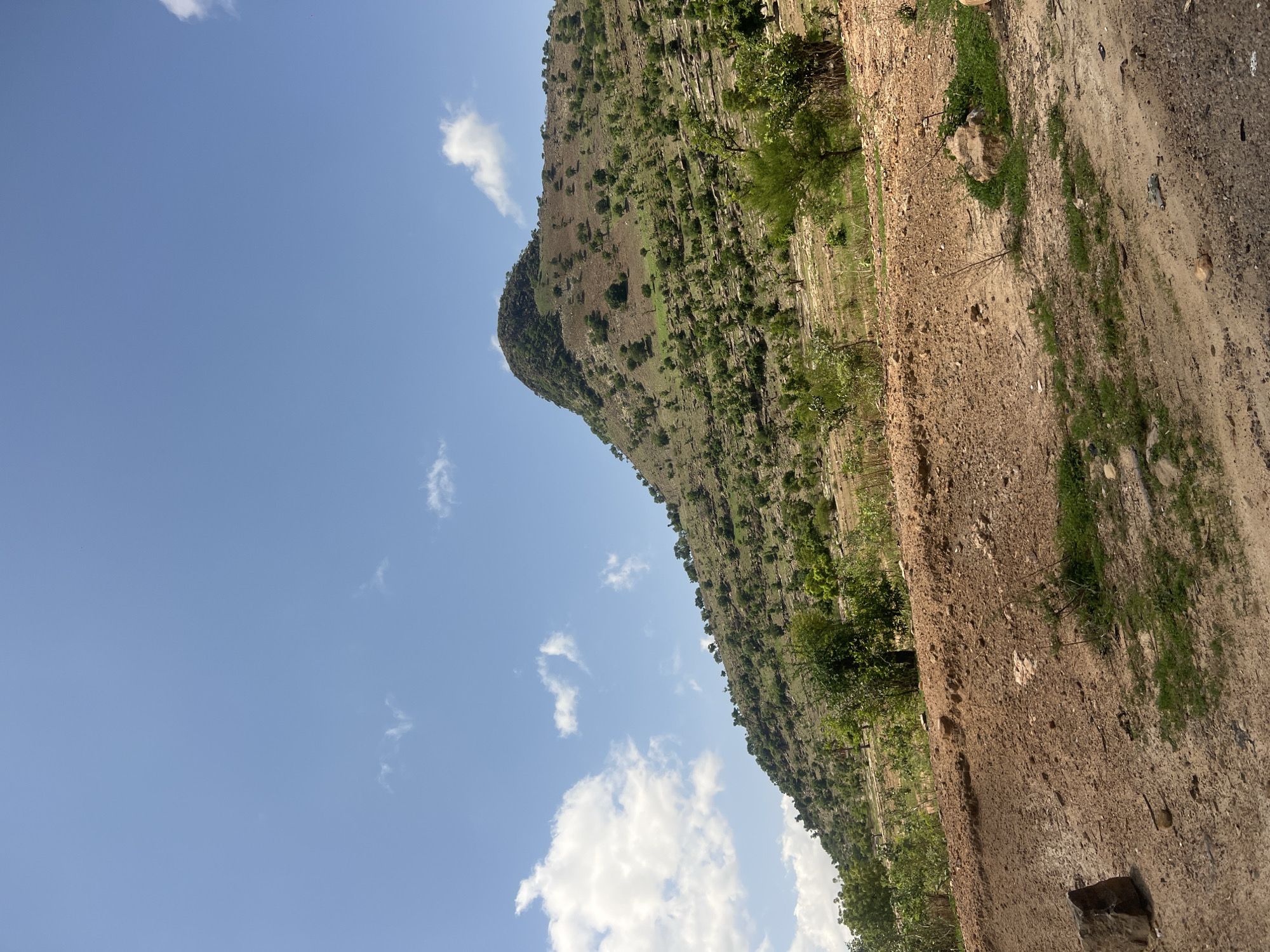 The image depicts a rural landscape in Balanga, Nigeria, under a clear daylight sky. A prominent, verdant hill or small mountain dominates the mid-ground and background, sloping upwards from left to right, culminating in a densely forested peak. The slopes of the hill are sparsely covered with numerous green trees and shrubs, interspersed with visible patches of reddish-brown earth and lighter, drier vegetation, with some horizontal rock formations or terracing visible on the right side of the slope. The sky, occupying the upper portion of the frame, is light blue with scattered white cumulus clouds, more numerous on the left. The foreground consists of reddish-brown, dry earth and gravel, appearing as a roadside or unpaved path. Sparse tufts of green grass and small plants grow in patches across the foreground. A large, dark brown rock is visible on the far left of the foreground, with smaller stones and debris scattered throughout the dirt. No people, animals, or man-made structures are visible.