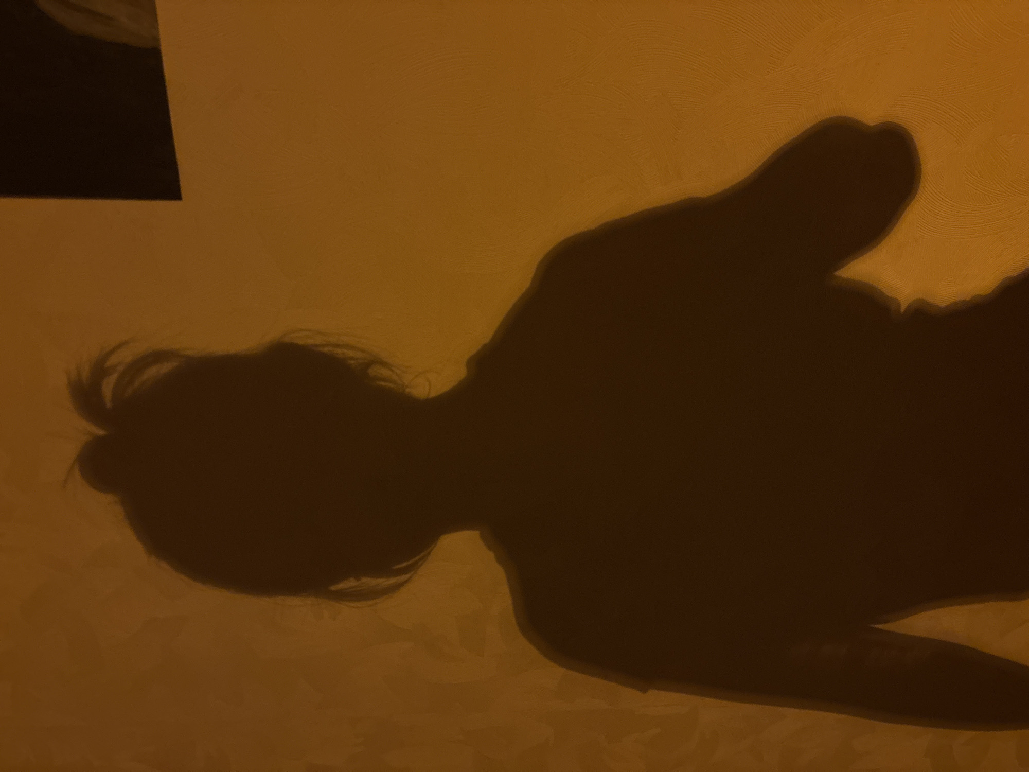 The media file is a photograph of a shadow cast on a textured, ochre-colored wall. The shadow depicts a person lying down, possibly asleep or resting. The person's head is on the left side of the frame, with hair pulled back into a bun. An arm is extended upwards and to the right, with the hand clearly visible. The shadow is sharp, suggesting a strong light source. The overall color palette of the image is warm, dominated by the orange tones of the wall and the dark brown of the shadow. The lighting suggests it could be evening or night, indoors, with artificial light creating the shadow. There is no visible text in the image.