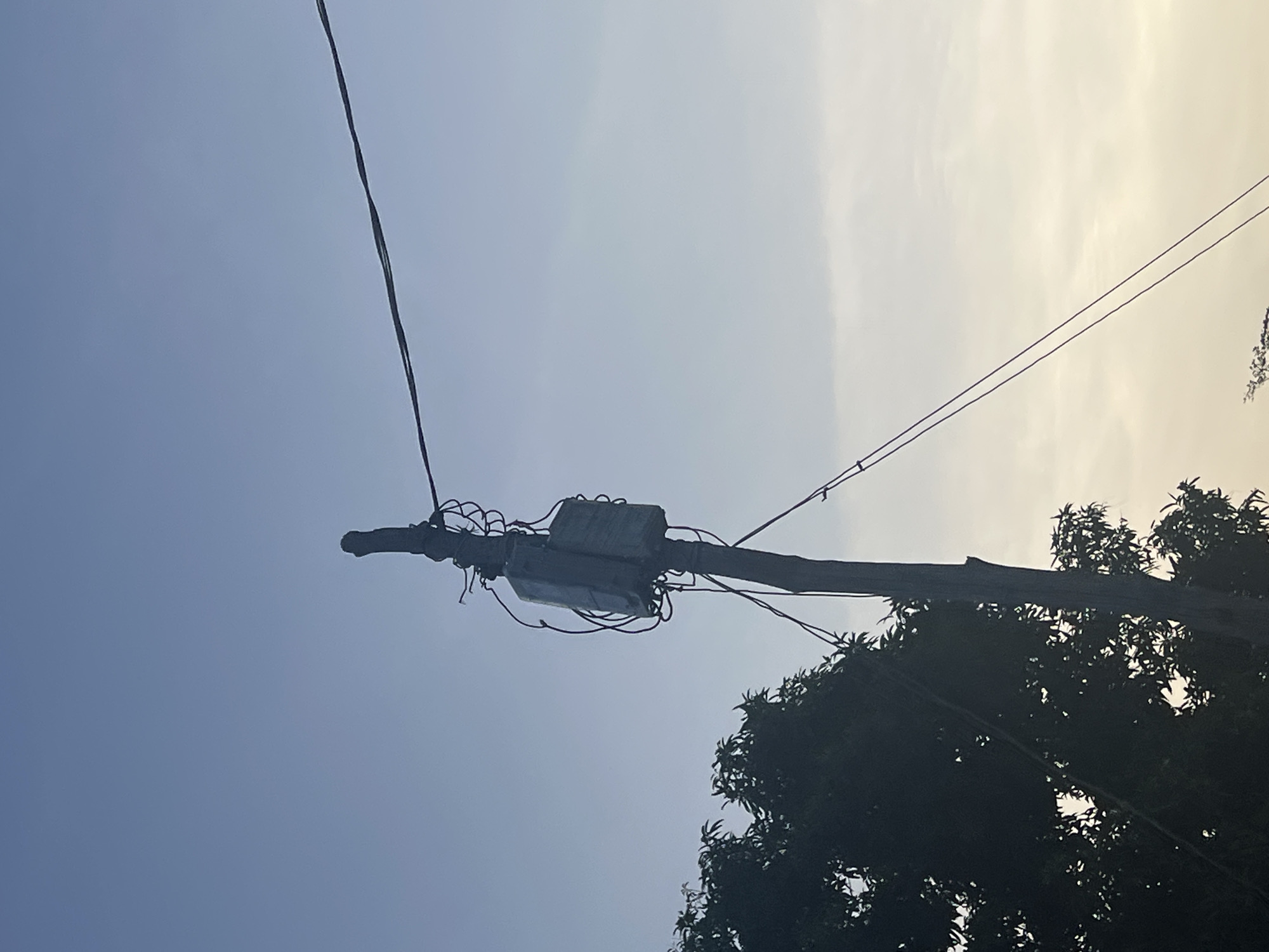 A wooden utility pole stands against a pale blue sky, supporting a transformer box and electrical wires. On the left side of the frame, the dark silhouette of a leafy tree is visible. The scene is likely located in Jalingo, Nigeria, given the prevalence of such poles and trees in the region. The image is a still photograph, capturing a moment in time with no observable human activity or interaction.