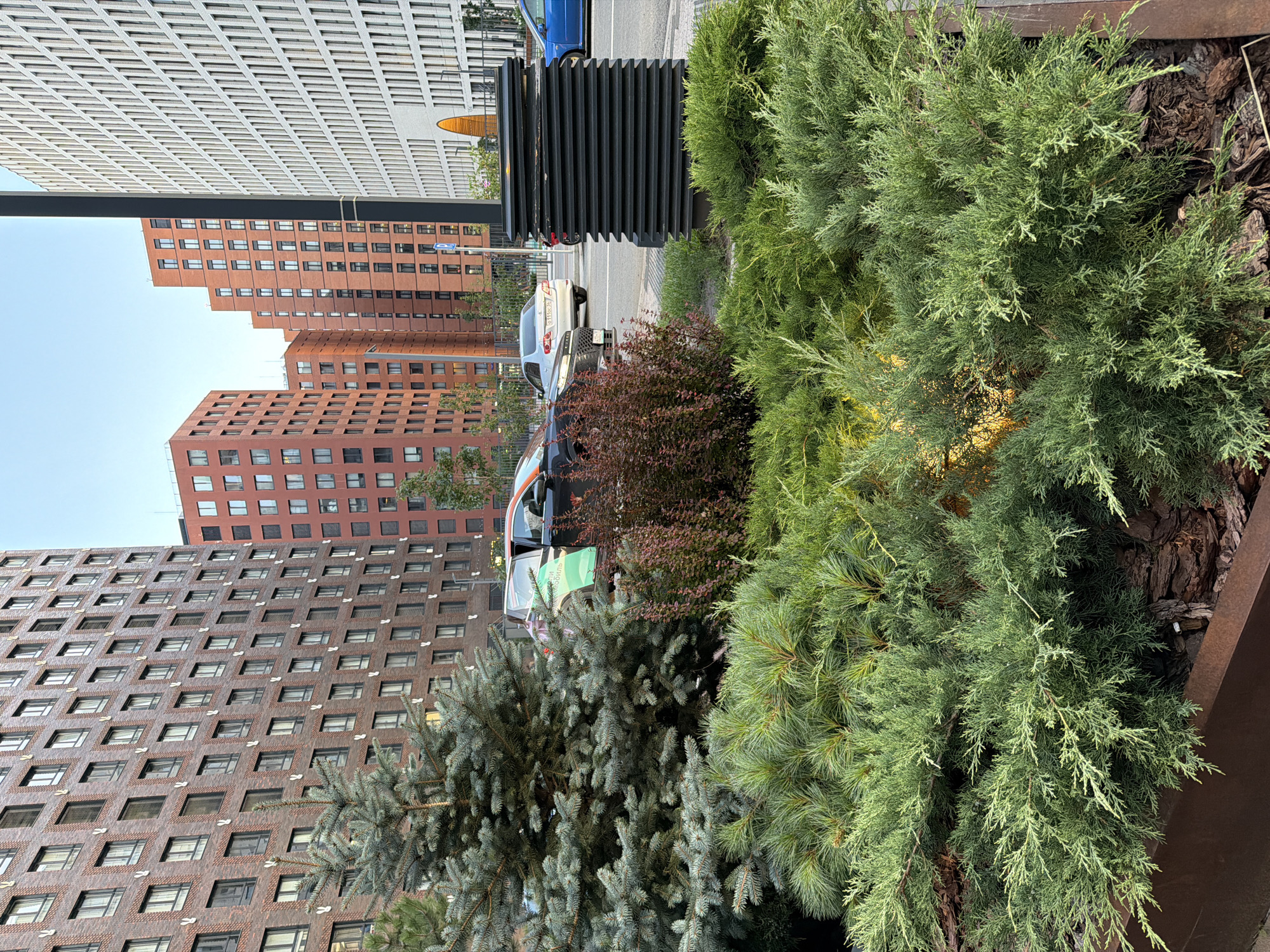 This image depicts a street scene in Moscow, Russia, characterized by modern architecture and urban landscaping. In the foreground, a planter box contains dense, low-lying green shrubs and some conifer branches, with exposed bark mulch at the base. Behind the greenery, a dark-colored car with green and white markings on its side is parked, with its passenger door open. Adjacent to this car, a decorative bush with reddish-purple leaves adds a touch of color.
Further back, a tall, dark gray trash receptacle with a ridged design stands on the sidewalk. Across the street, a white car is parked, and a blue car is in motion. The background is dominated by several tall residential buildings. On the left, a brick building with numerous windows and decorative white elements is prominent. To its right, a cluster of reddish-orange buildings with similar window patterns rises. On the far right, a white building with a grid-like facade and a large arched entrance is visible. The sky above is clear and light blue, suggesting it is daytime.