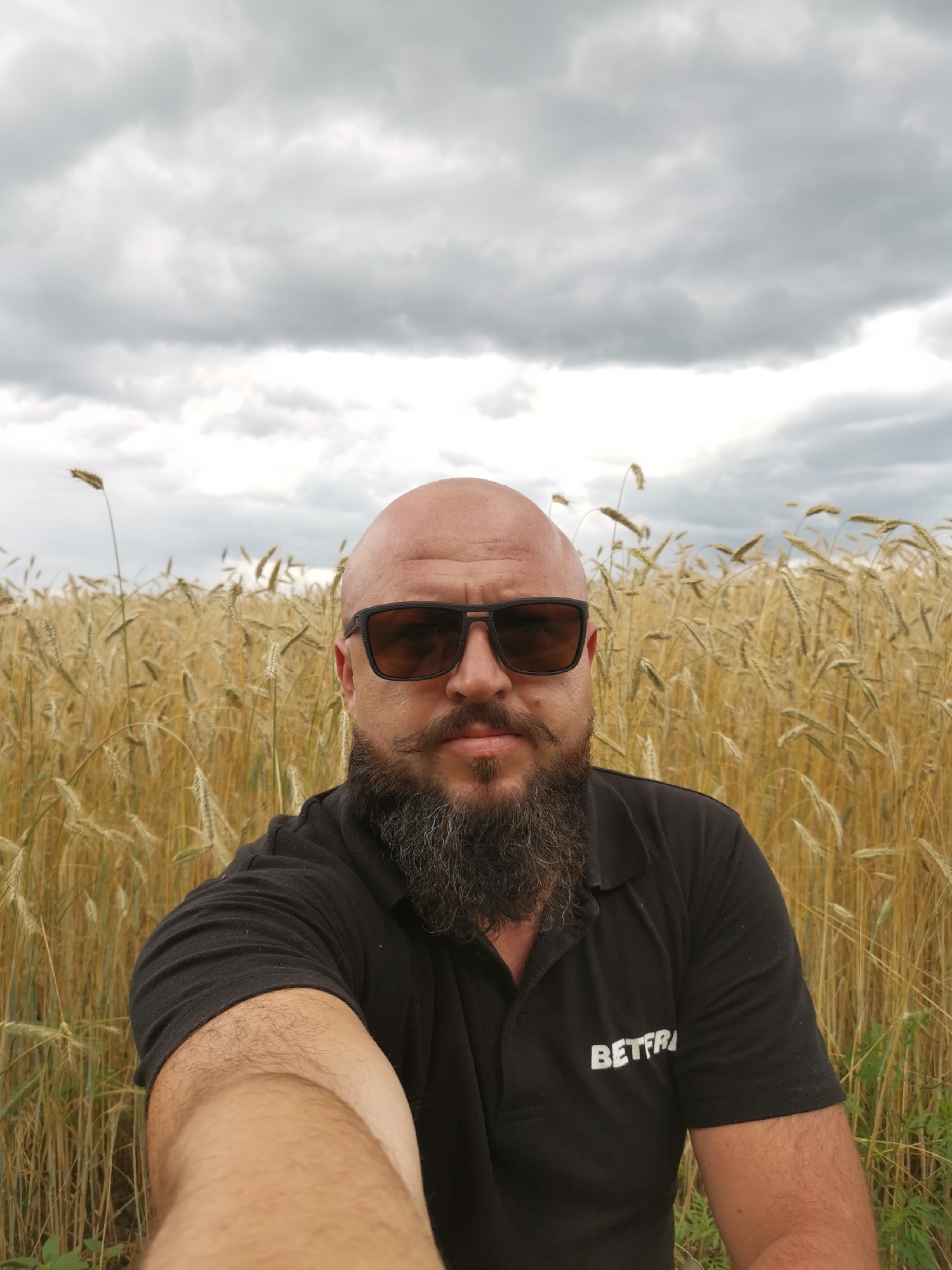 A man with a shaved head, beard, and mustache is taking a selfie in a field of wheat. He is wearing a black polo shirt with the word "BETFR" visible on the left chest. He is also wearing dark sunglasses. The background is a dense field of golden wheat under a cloudy, overcast sky. The clouds are heavy and gray, suggesting impending rain or a storm. The time of day appears to be afternoon or late morning. The man's expression is neutral, and the overall mood of the image is somewhat somber due to the weather. The setting is rural, likely in a farming region. The man's arm is visible in the foreground as he holds the camera.