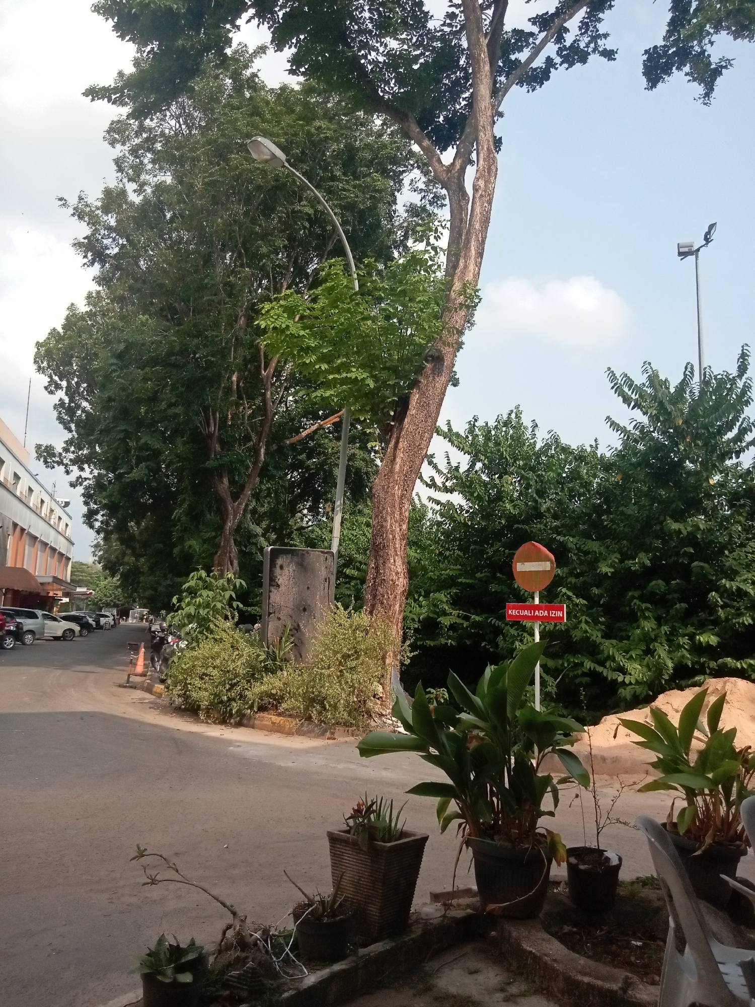 The image depicts an outdoor scene on a street in Batam, Indonesia, likely during the daytime. In the foreground, several potted plants are arranged along a low concrete border. Moving further back, a paved road curves to the left, bordered by dense green foliage and trees on the right. To the left of the road, a building with multiple windows and awnings is visible. Parked cars line the street in the mid-ground. A traffic sign, featuring a red circle with a horizontal white bar and a red rectangle below with white text that reads "KECUALI ADA IZIN" (meaning "Except with permission" in Indonesian), is prominently displayed amidst the greenery. Tall trees with thick trunks and lush canopies dominate the background, with a clear sky visible above. A street lamp is positioned on the left side of the frame, and another is seen in the distance on the right. The overall impression is a street scene in a tropical urban environment.