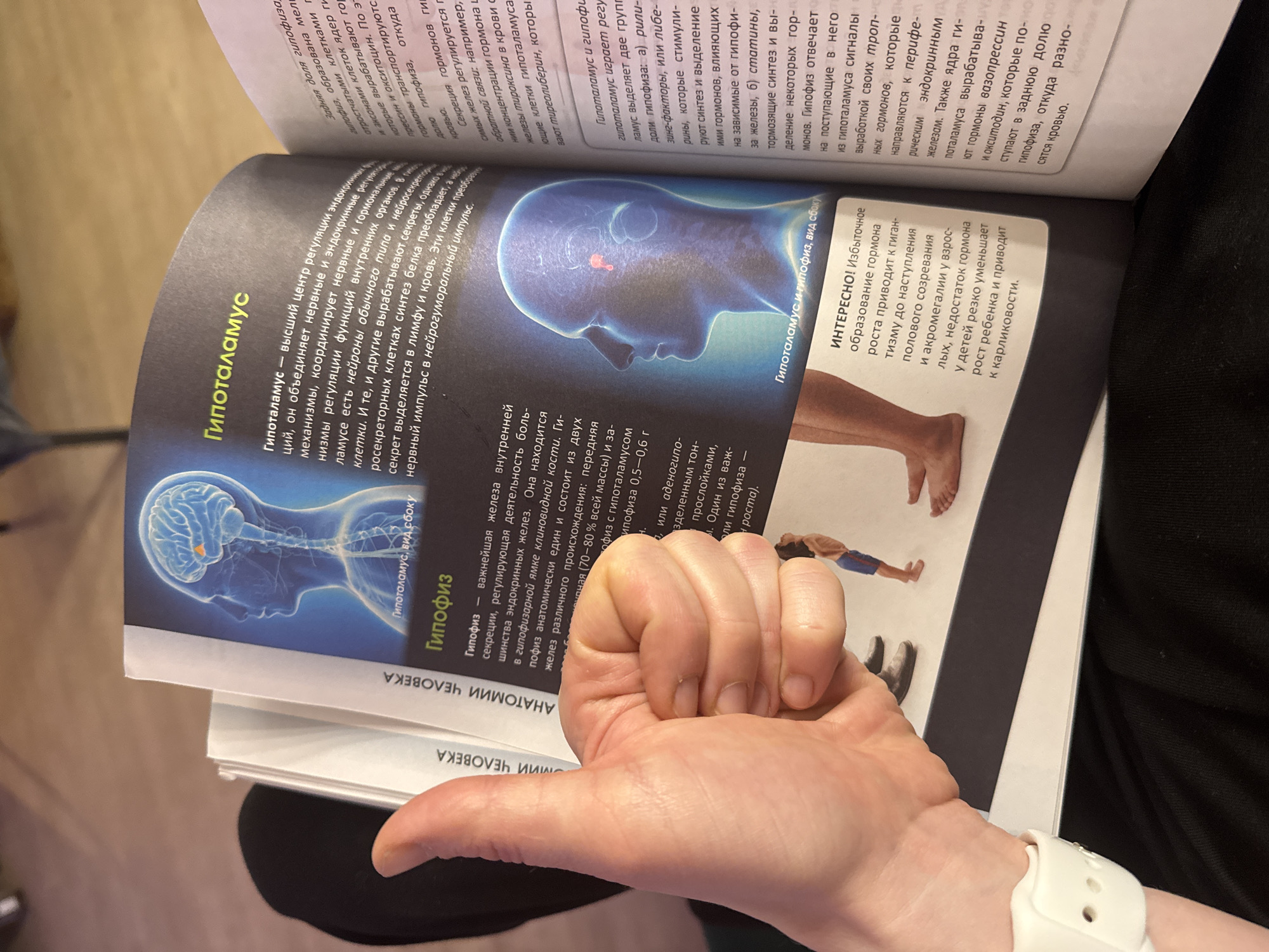 A person is holding open a book titled "Anatomy of Man," with a diagram showing the hypothalamus and pituitary gland. The person's left hand is giving a "thumbs up" sign in front of the book. The person is wearing a white fitness tracker on their wrist.