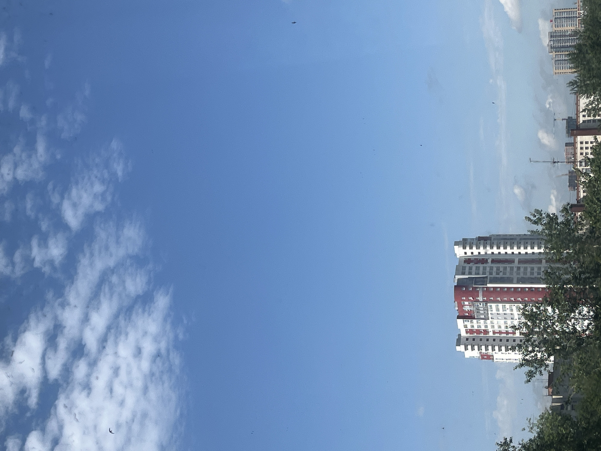 The image shows a clear blue sky with scattered clouds. A large, modern apartment building with red and white accents stands in the middle ground, partially obscured by green trees. In the distance, other buildings and construction cranes are visible. Several birds are flying in the sky. This scene is likely from a residential area in Chelyabinsk, Russia.