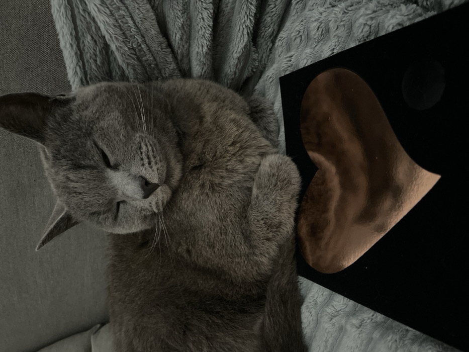 An indoor, eye-level photograph taken in Budva, Montenegro, features a grey, short-haired cat resting on a light grey, textured blanket. The cat's eyes are closed, and its front paws are tucked beneath its chest, suggesting a state of slumber or deep relaxation. The blanket is draped over a darker grey upholstered surface. In the foreground, a black, flat object is positioned, displaying a prominent heart-shaped cutout that reveals a reflective copper-colored surface underneath. A small, dark circular impression or mark is visible on the black surface, to the right of the heart shape. The lighting is soft and uniform, indicating an interior setting.
