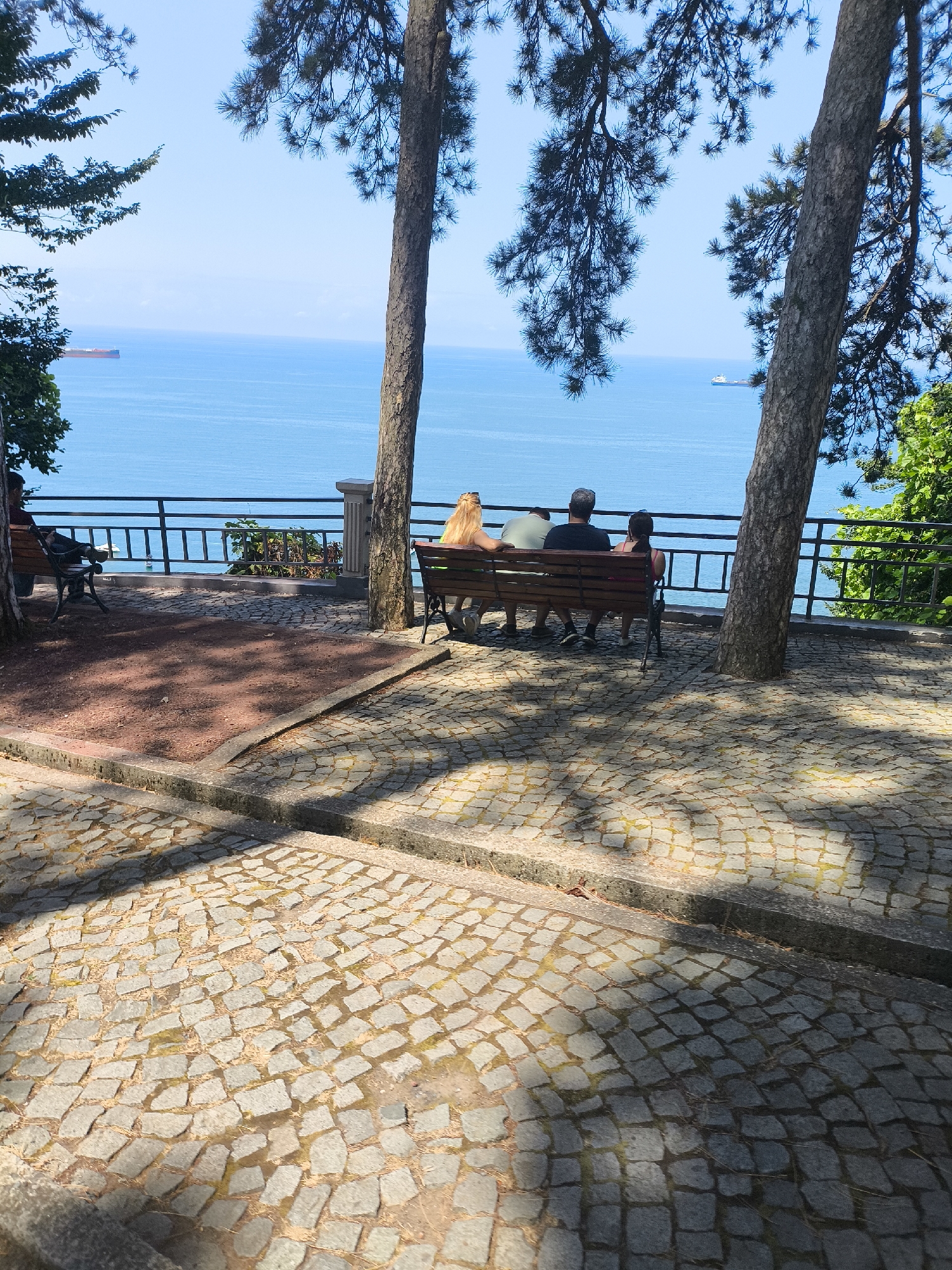 A family is sitting on a park bench, looking out at the Black Sea from a high vantage point in Batumi, Georgia. The father is in the middle, with his arm around his daughter on his right. His wife is on his left, with her arm around him. The daughter is wearing a pink tank top and the father is wearing a black t-shirt and jeans. The mother has blonde hair and is wearing a yellow top. The family is in the foreground of the image, with the Black Sea stretching out behind them. The water is a deep blue, and there are a few ships in the distance. The sky is a clear blue, and there are a few trees in the foreground, with their branches reaching out over the park. The ground in the foreground is paved with cobblestones.