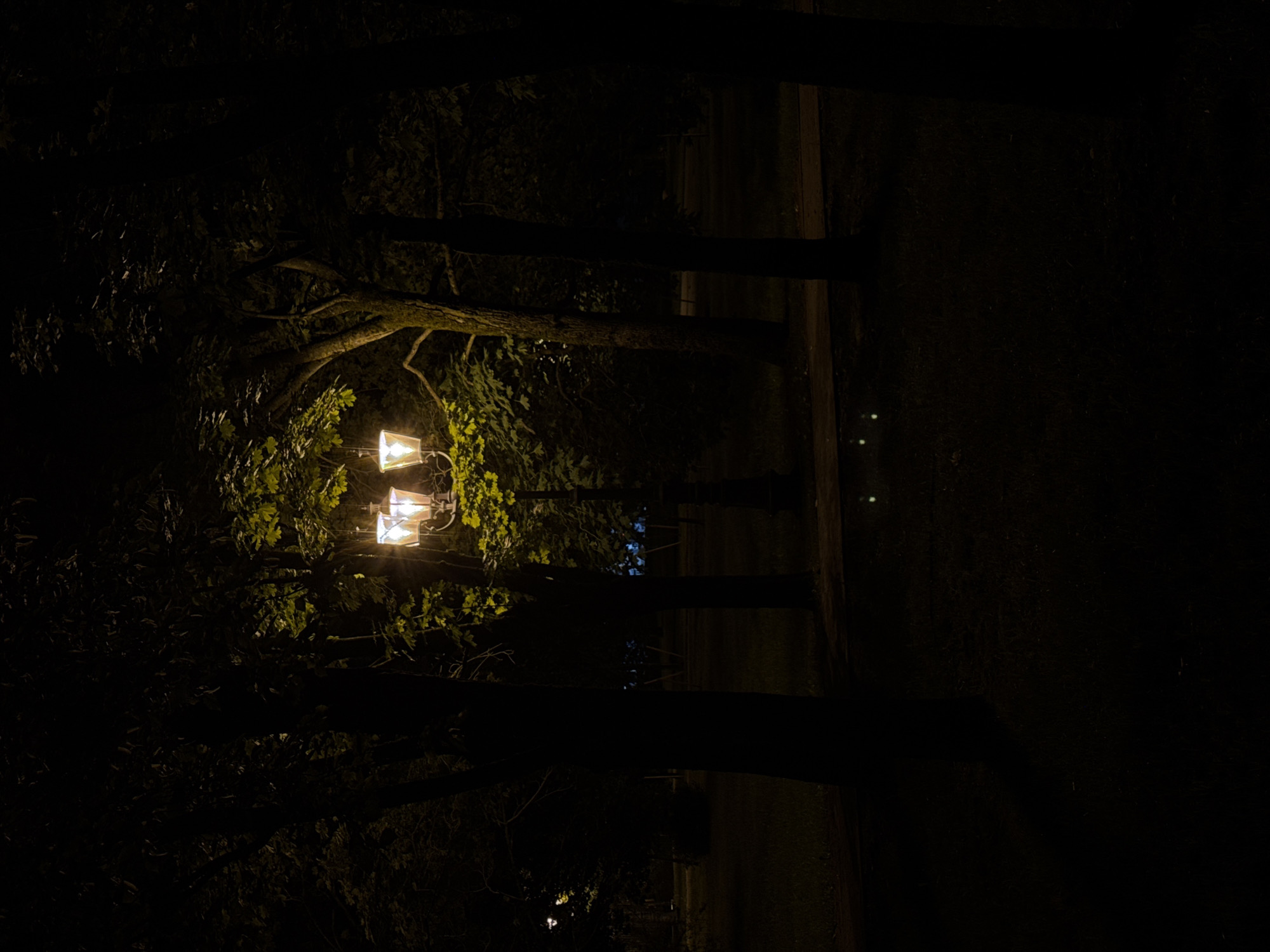 In a dimly lit park at night, a three-lamp lamppost illuminates the surrounding trees with a warm glow. The scene, identified as being in the city of Minsk, Belarus, is framed by dark silhouettes of trees, creating a sense of depth and mystery. The ground is covered in grass and a paved path, suggesting a public recreational area. In the lower center of the image, two pairs of glowing eyes are visible, hinting at the presence of animals in the darkness. The overall atmosphere is serene and quiet, with the lamppost serving as the sole source of light and a focal point in the nocturnal landscape.