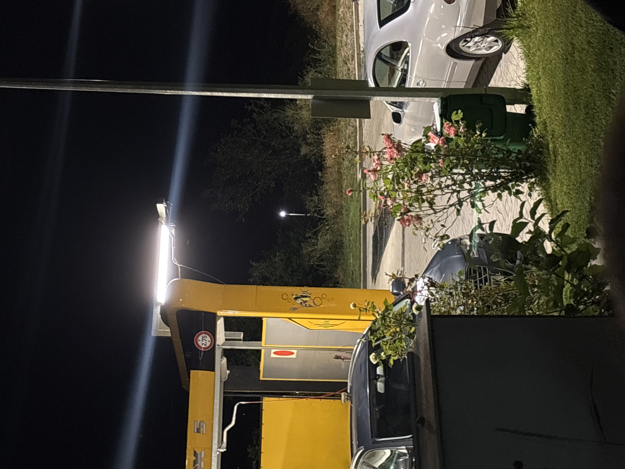 At nighttime, a car wash facility in Pleven, Bulgaria, is illuminated by overhead lights. A yellow car wash structure with the sign "BOX 5" is visible, along with a red and white circular sign indicating a height limit of 2.75 meters. Parked cars, including a silver coupe and a dark-colored sedan, are present near the car wash. A bush with pink roses is in the foreground, partially obscuring a dark green trash bin. The ground is paved with interlocking bricks. A tall metal pole stands vertically to the right of the frame. Trees and vegetation are visible in the background, and a street light is illuminated in the distance.