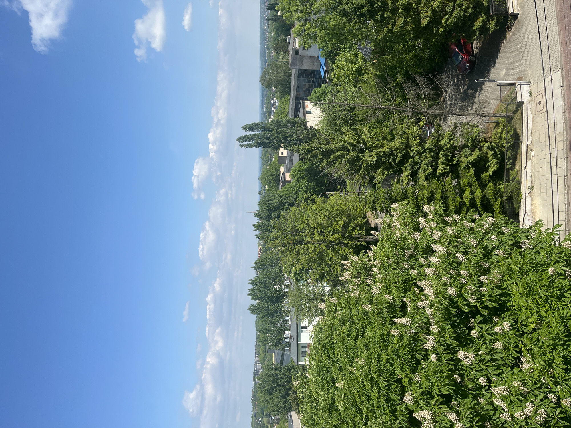 The image depicts a view from a high vantage point, potentially a building or hill, in an urban or suburban setting. The sky is blue with scattered white clouds. The foreground and middle ground are dominated by lush green trees, some of which are in bloom with white flowers. Buildings of varying sizes and architectural styles are visible amidst the trees, suggesting a mix of residential and possibly commercial structures. A street is also visible. The street appears to be made of paving stones. A red vehicle is parked on the street, partially obscured by the trees. The overall environment suggests a combination of natural greenery and urban development, characteristic of a city park or suburban residential area. The city and location remain unknown due to the lack of discernible landmarks or indicators in the image.