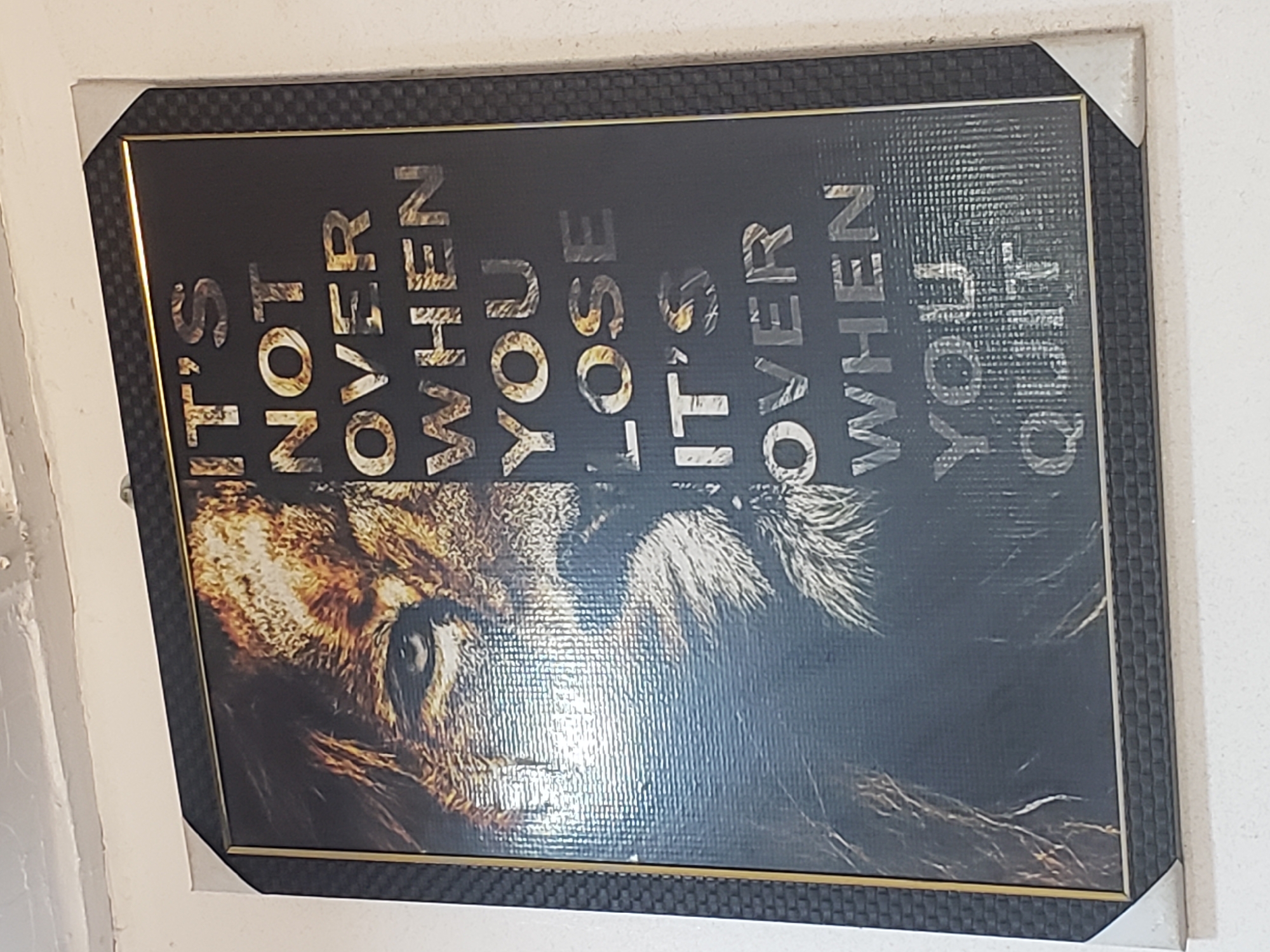 A framed picture hangs on a white wall, featuring the head of a lion split vertically. The left side shows a golden-brown lion's face, while the right is a dark silhouette. Text is layered over the image in faded, stylized font, reading: "IT'S NOT OVER WHEN YOU LOSE, IT'S OVER WHEN YOU QUIT." The frame is dark with a gold inner trim. The environment is plain, seemingly indoor setting with white walls. The location of the picture is possibly Adankolo, Nigeria.