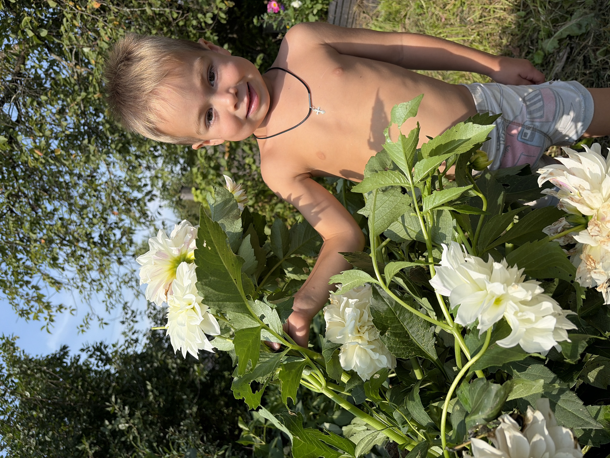 A young boy, likely between 4-6 years old, stands in a garden setting, possibly in the city of Uzyar, Russia, given the foliage and lighting conditions suggestive of a temperate climate. He is shirtless, wearing light-colored shorts with a patterned design. The boy has fair skin, light brown hair, and is looking towards the camera with a gentle smile. He is standing next to a large bush of white dahlias, with his left hand touching one of the flower stems. The background consists of lush green trees and foliage, with a bright blue sky visible through the leaves. The sunlight suggests it is daytime, likely late morning or early afternoon. The overall scene depicts a candid moment of a child interacting with nature.